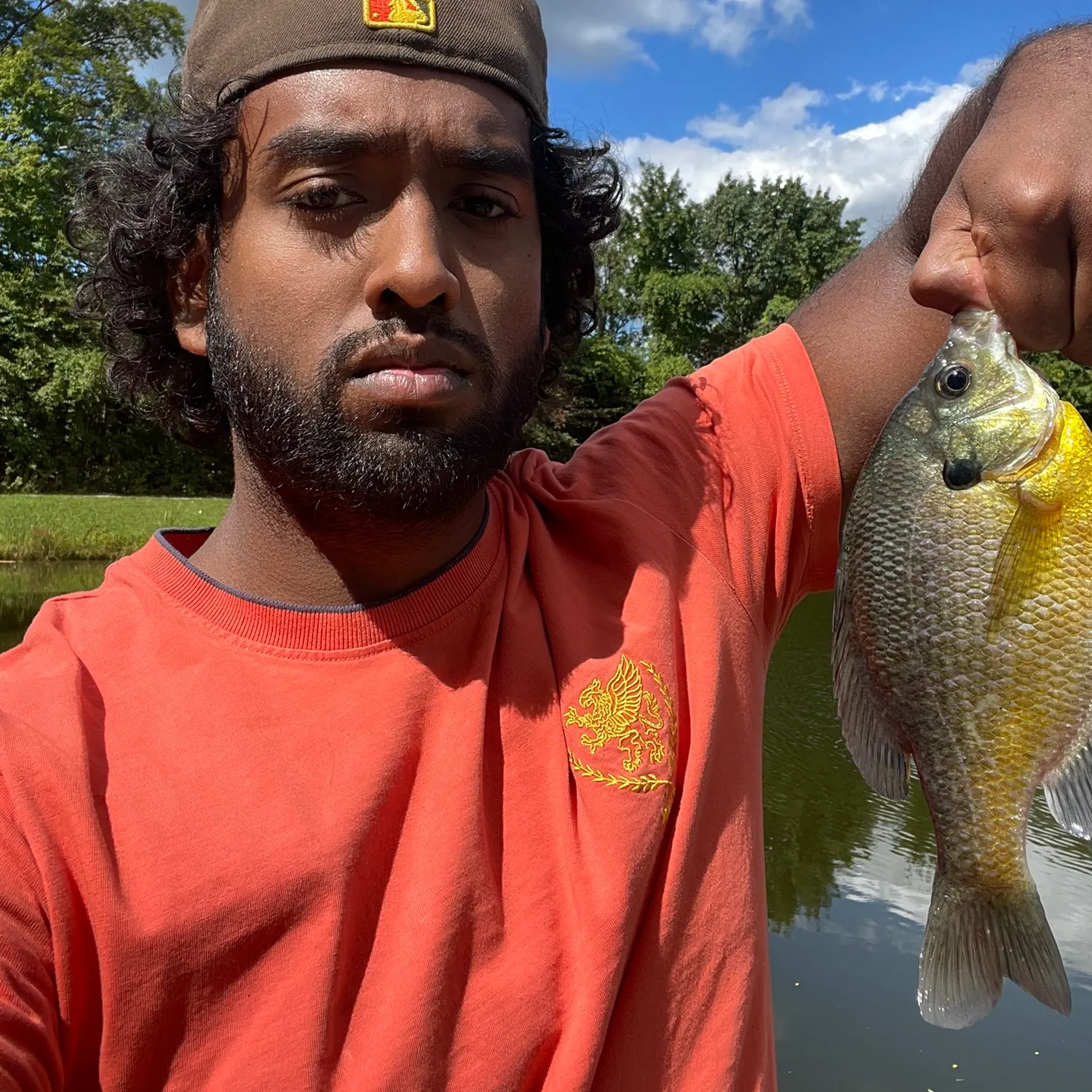 Bluegill caught on Fishbrain