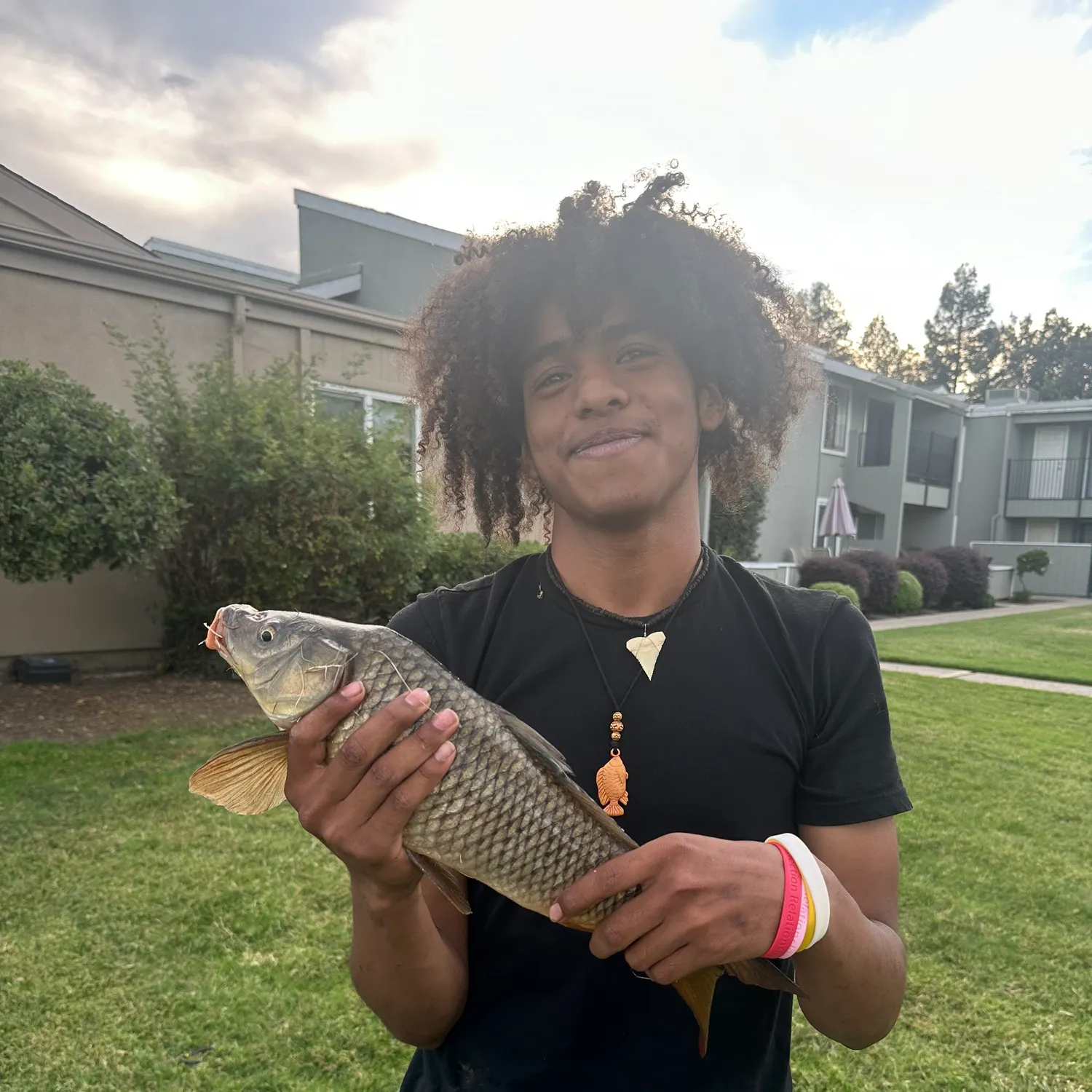 Common carp caught on Fishbrain