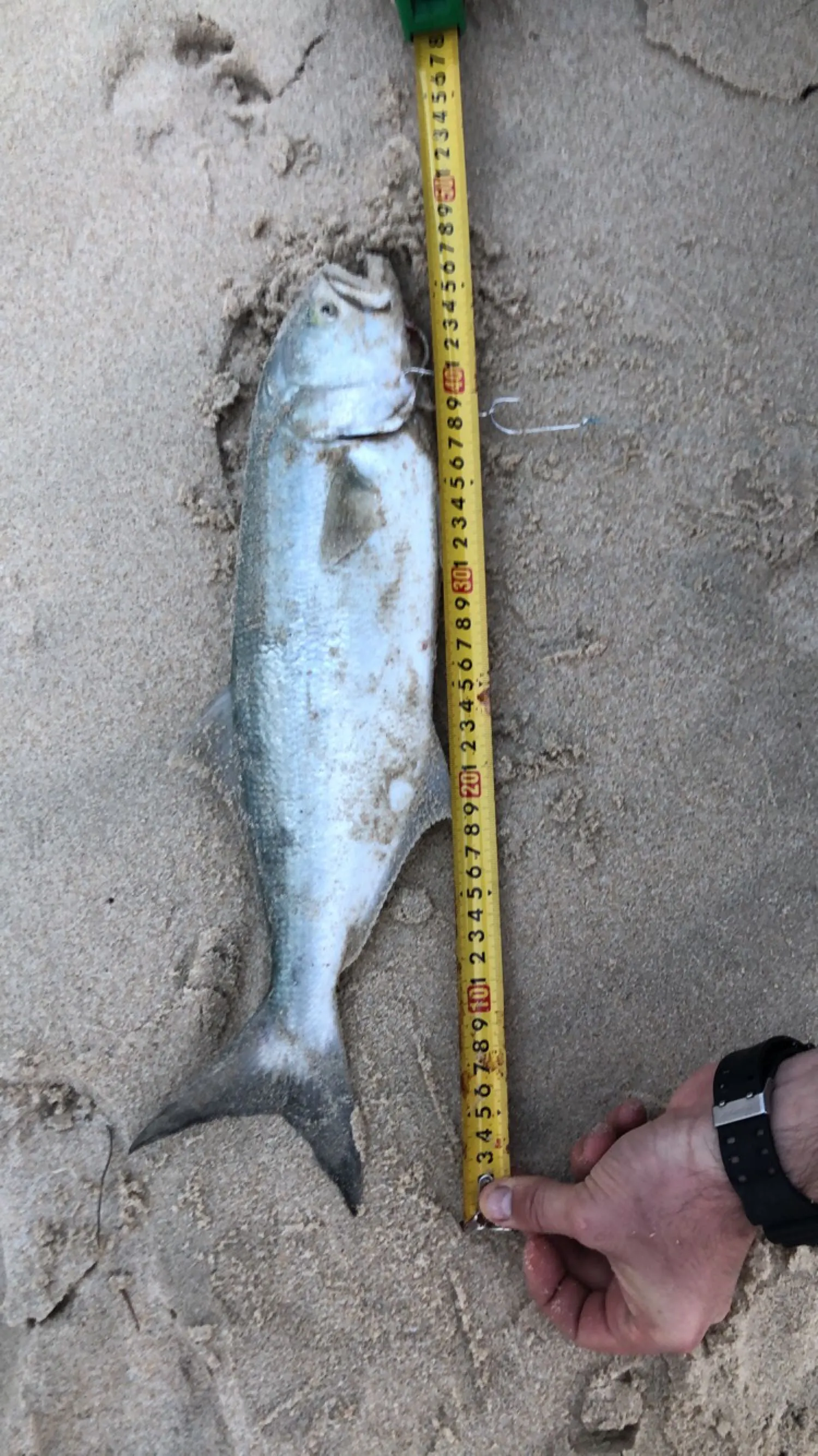 Post image from Fents