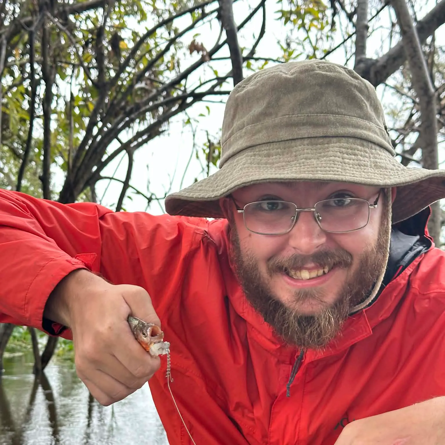 The most recent Red-bellied piranha catches on Fishbrain