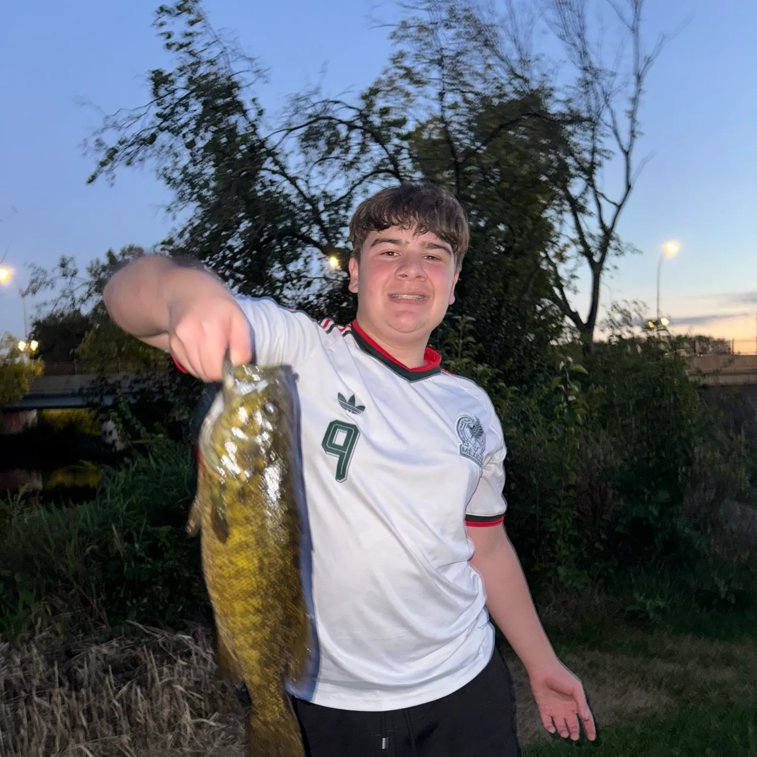 Smallmouth bass caught on Fishbrain