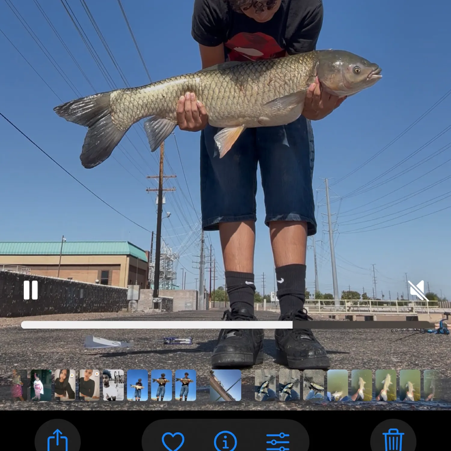 recently logged catches