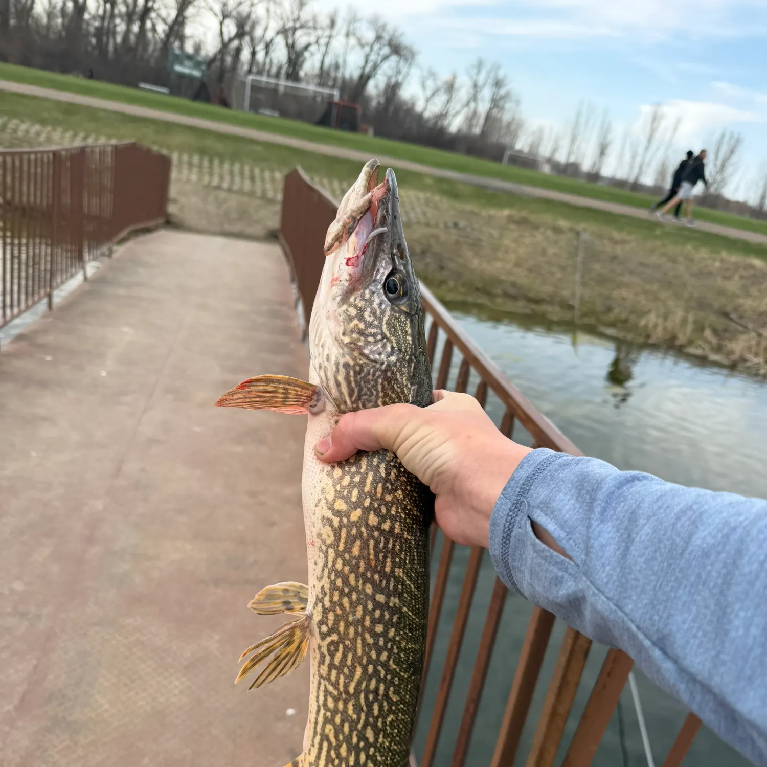 catch