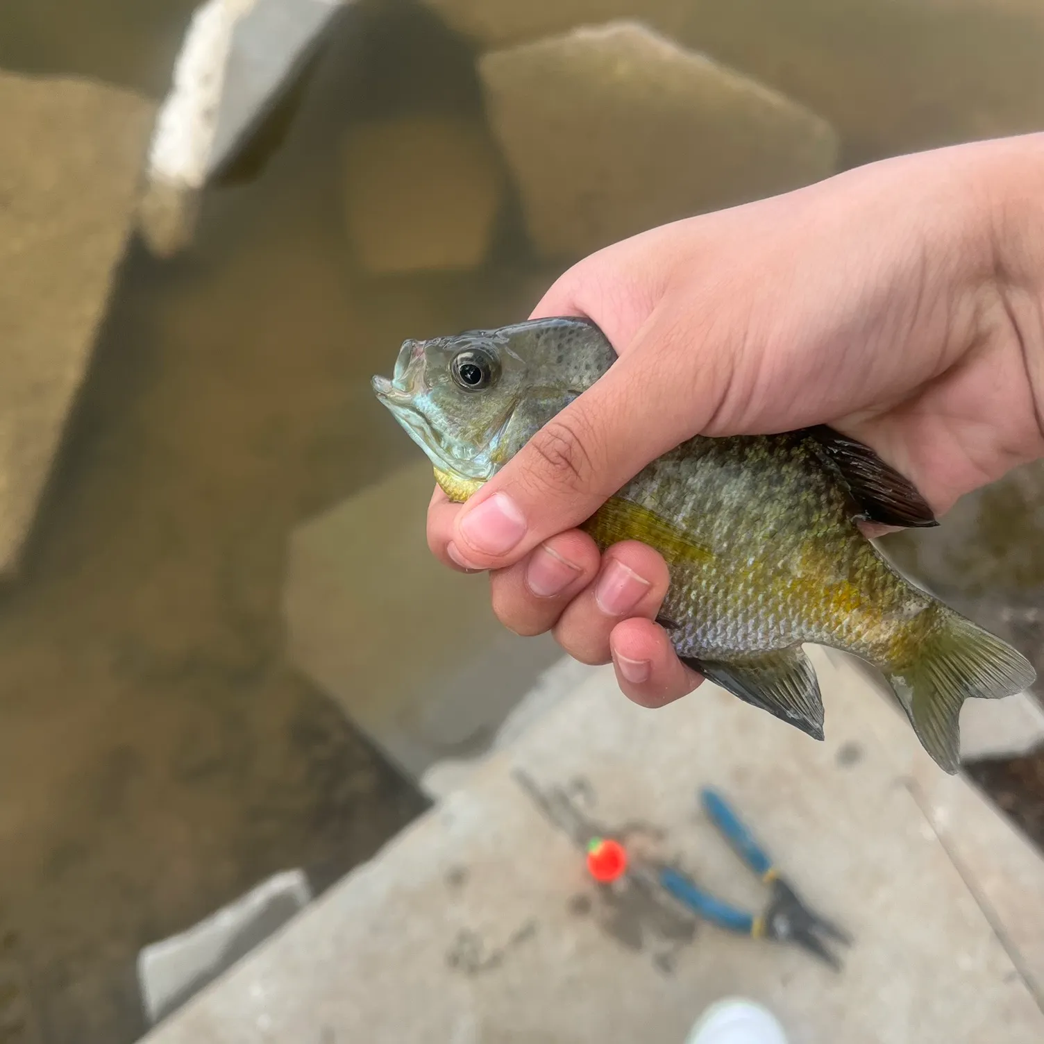 catch