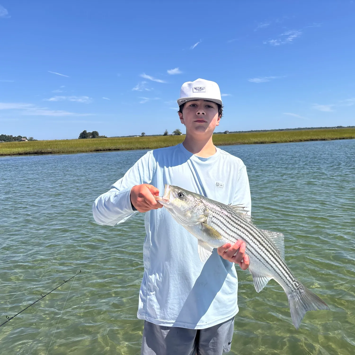 Striped bass caught on Fishbrain