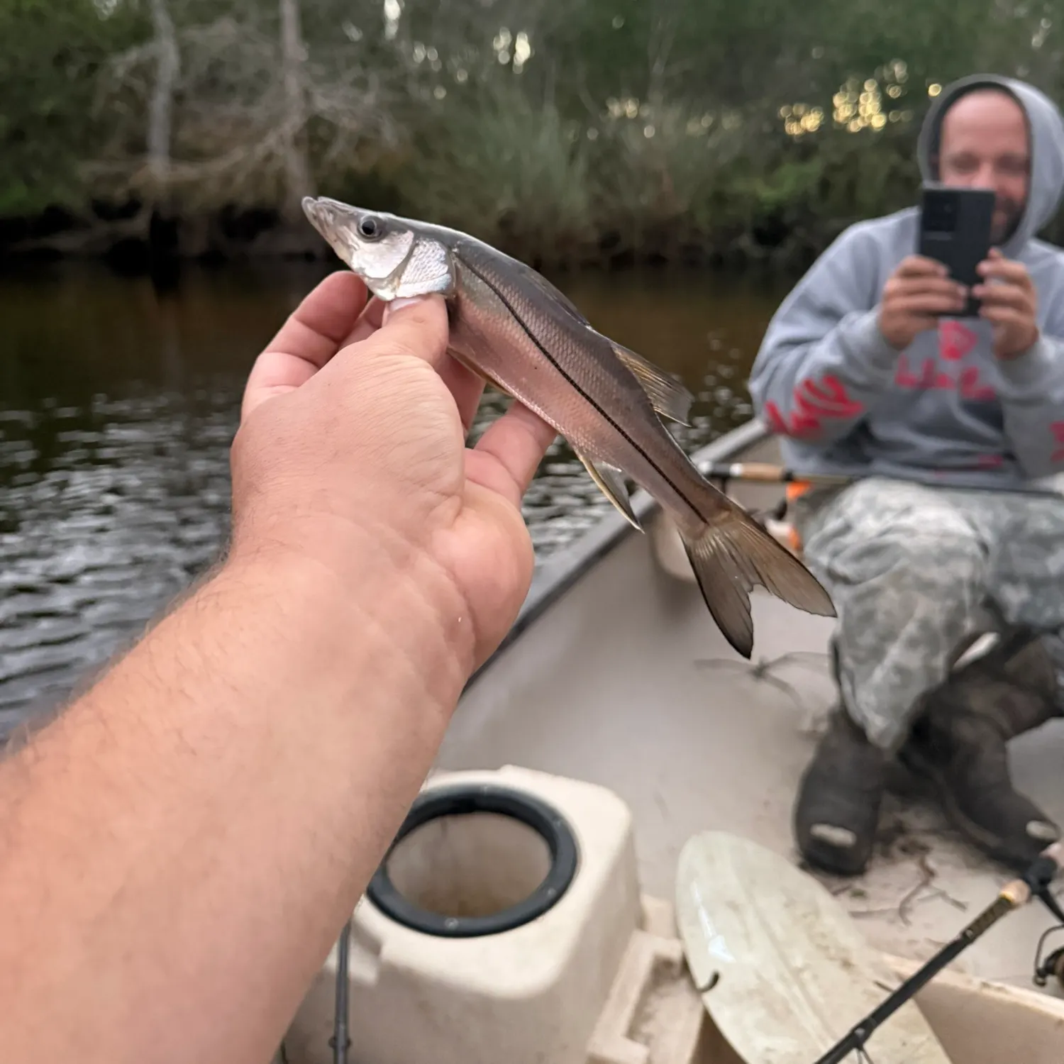The most recent Common snook catches on Fishbrain