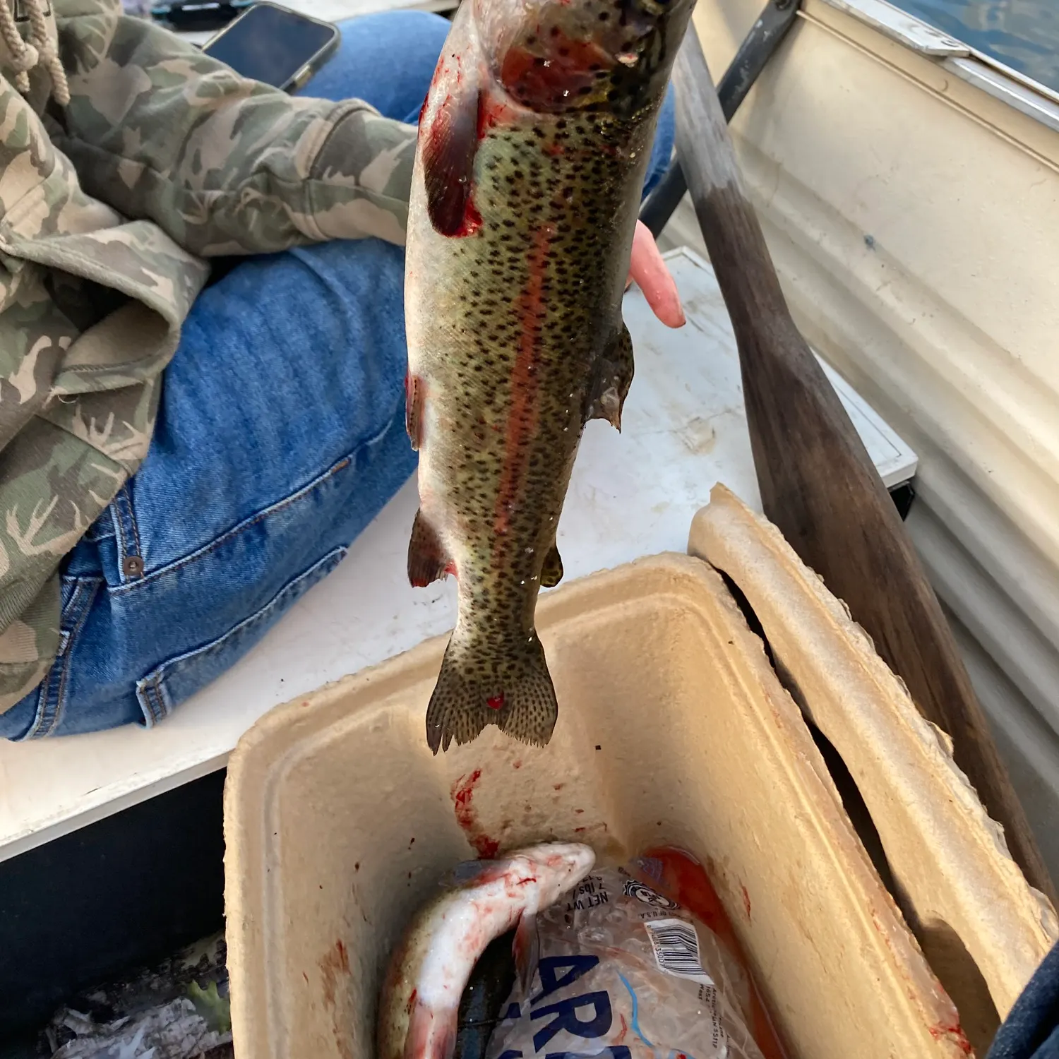 recently logged catches