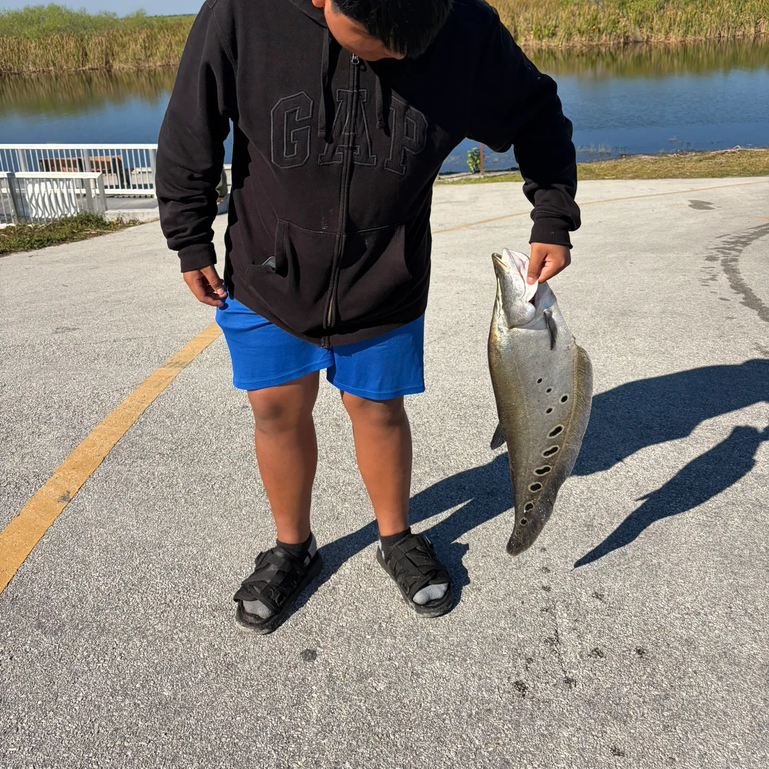 The most recent Clown knifefish catches on Fishbrain