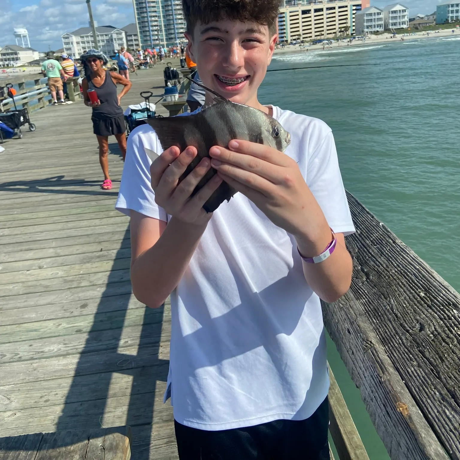 The most recent Atlantic spadefish catches on Fishbrain