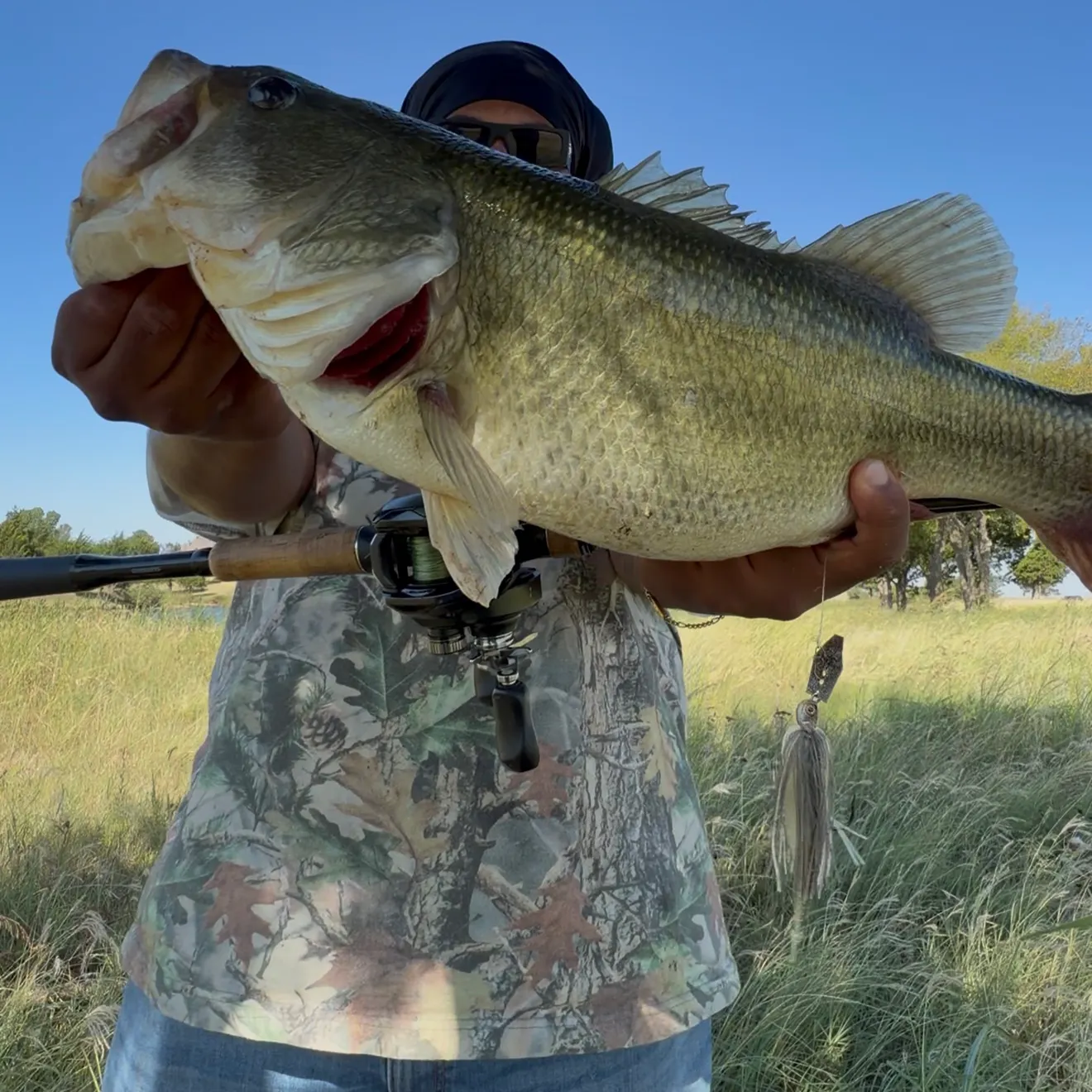 Largemouth bass caught on Fishbrain