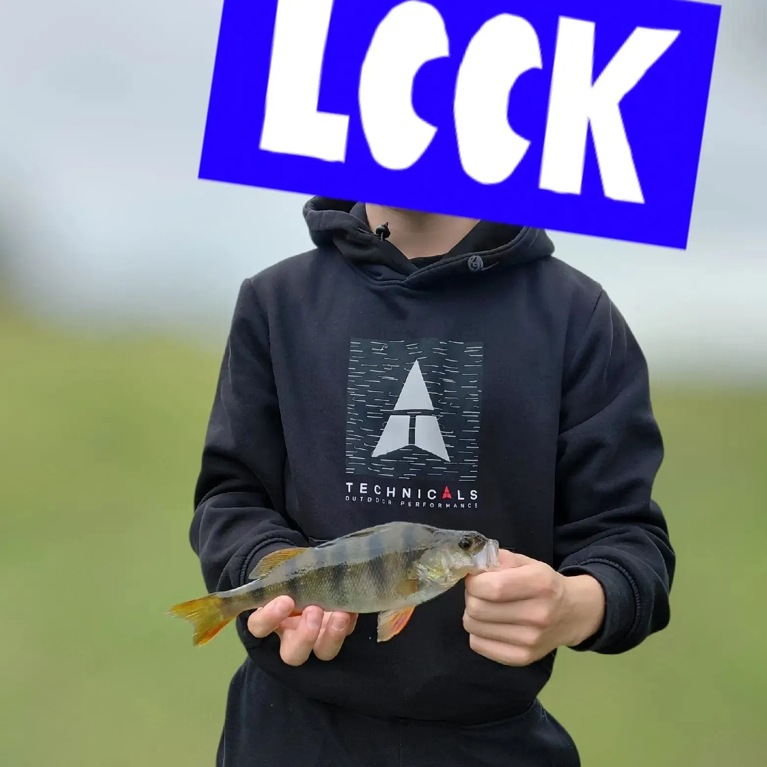 European perch caught on Fishbrain