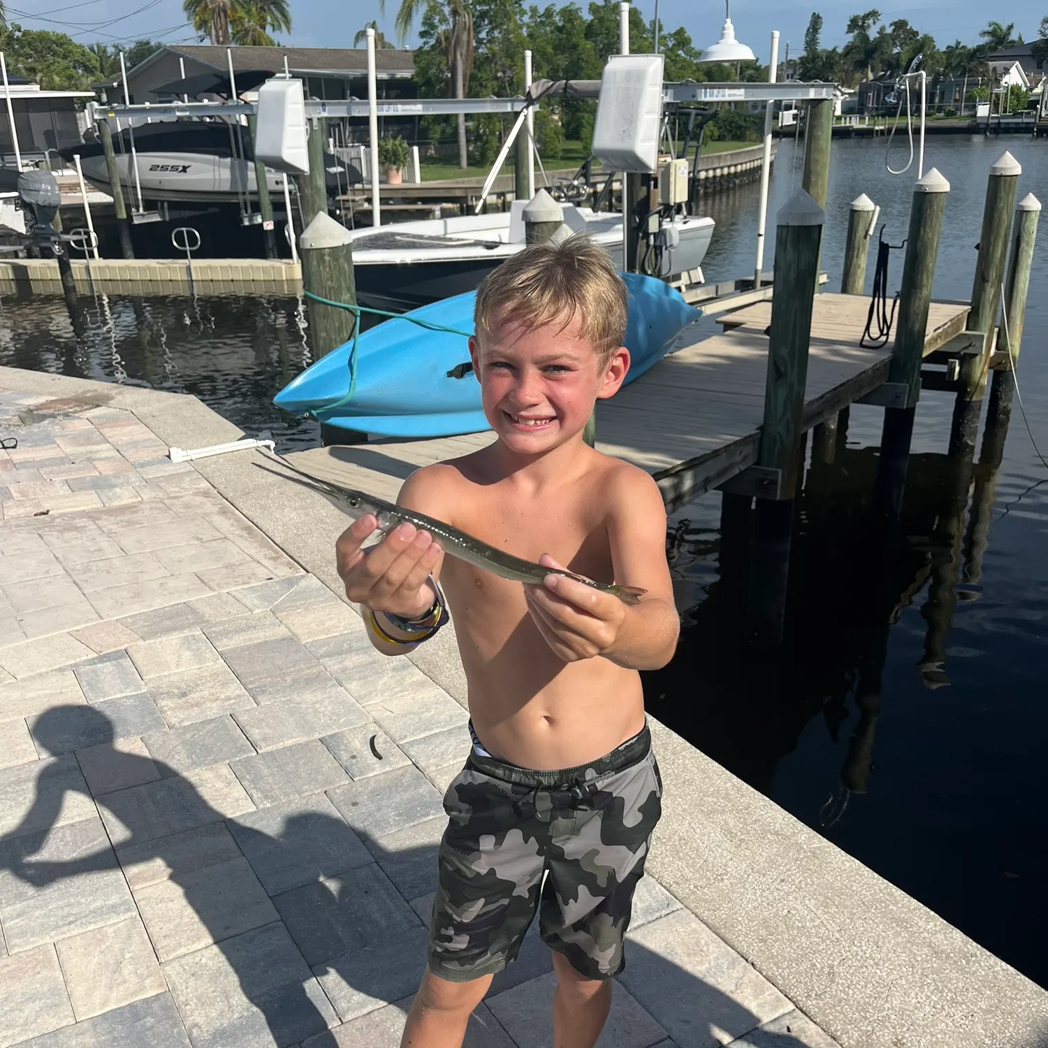 The most recent Atlantic needlefish catches on Fishbrain