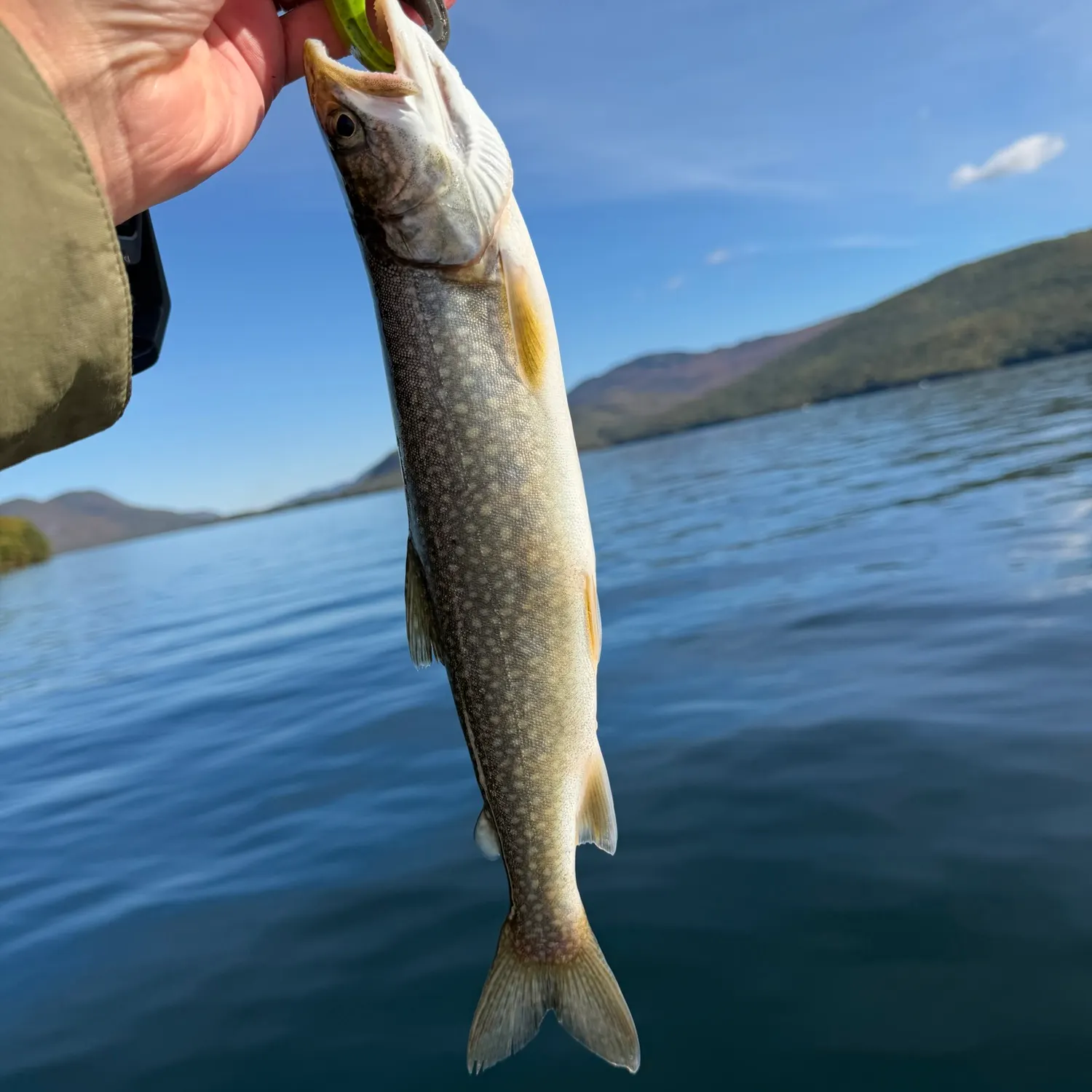 Lake char caught on Fishbrain
