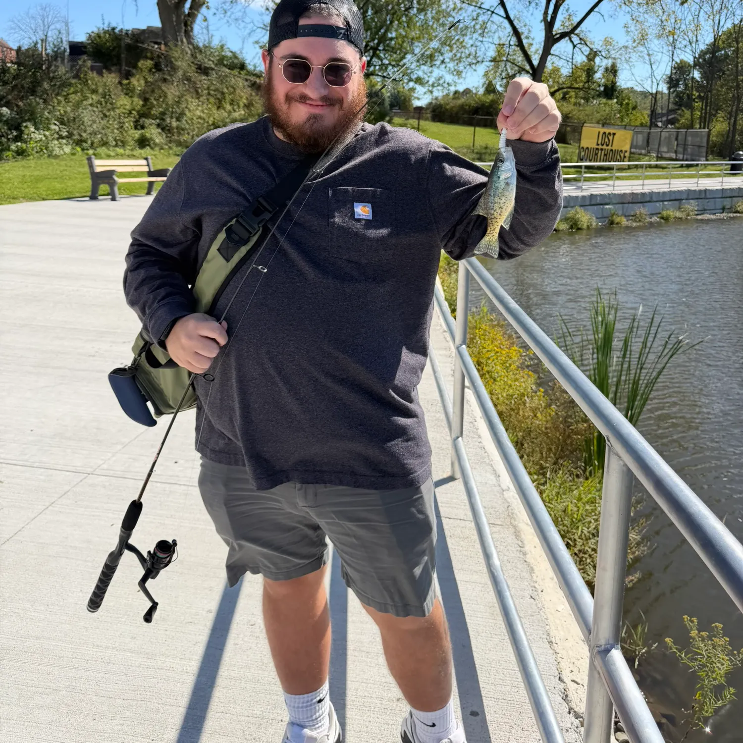 Black crappie caught on Fishbrain