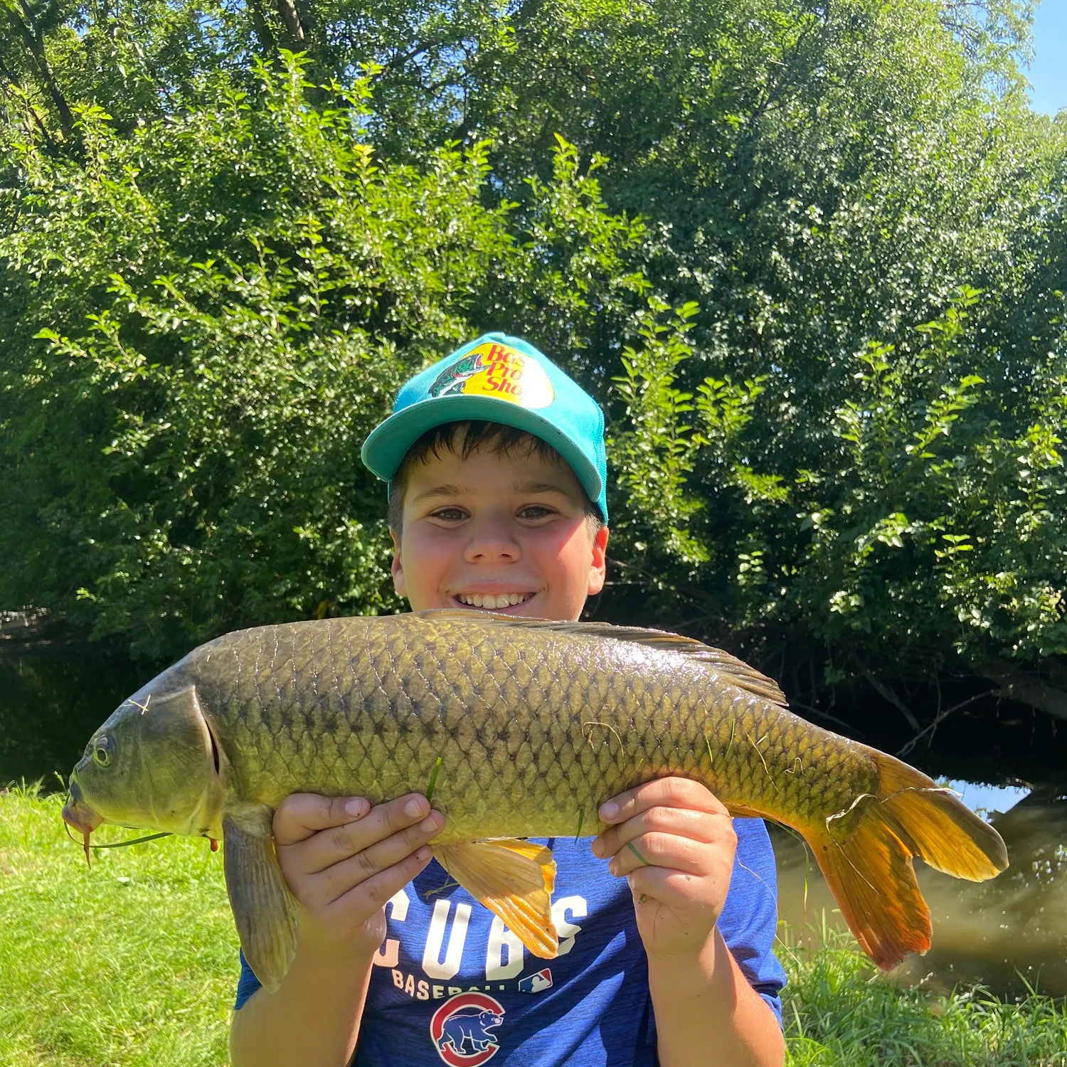 Common carp caught on Fishbrain
