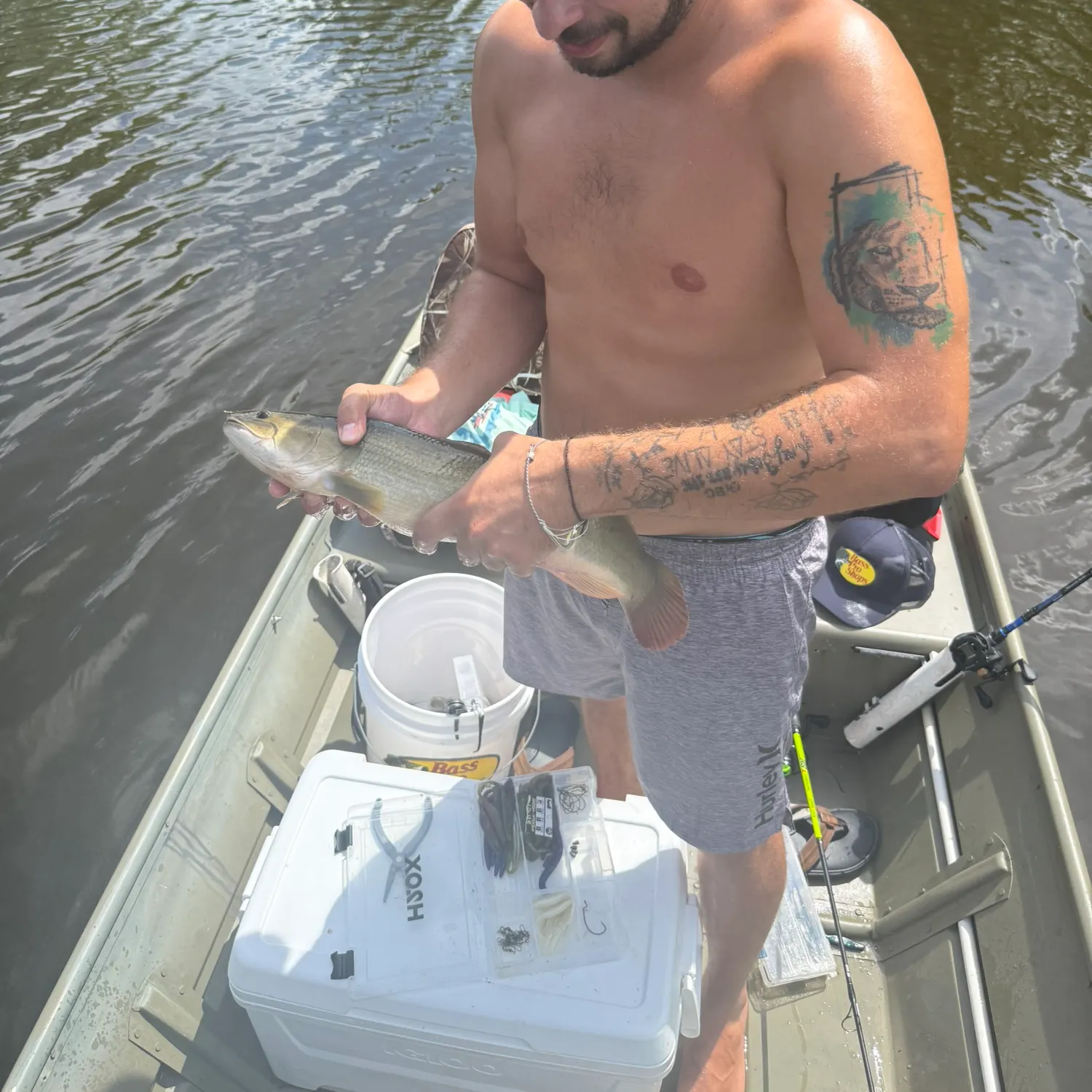 recently logged catches