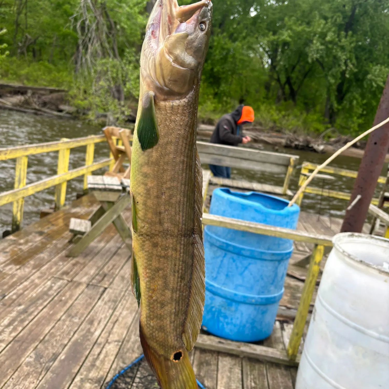 catch
