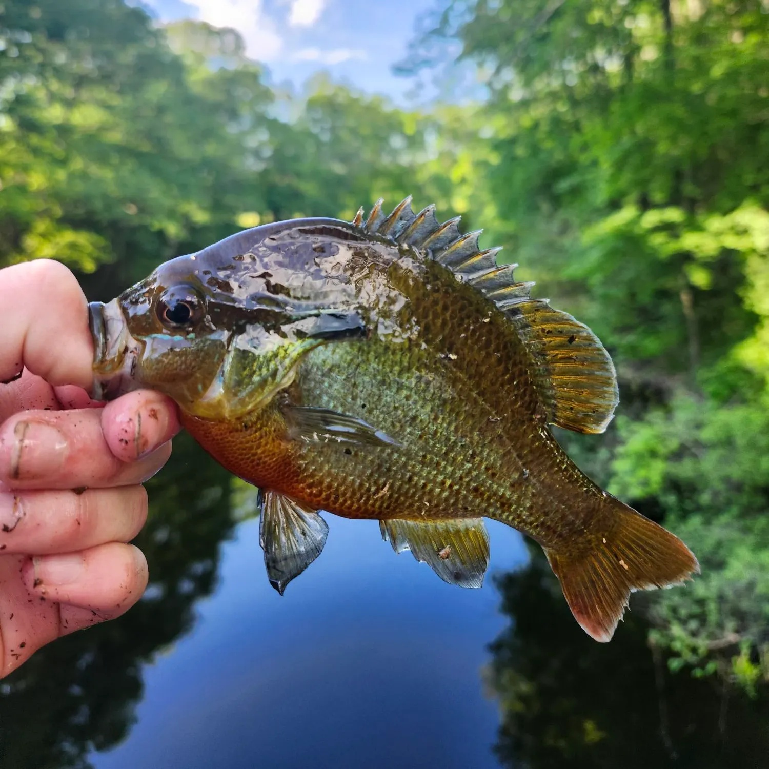 catch