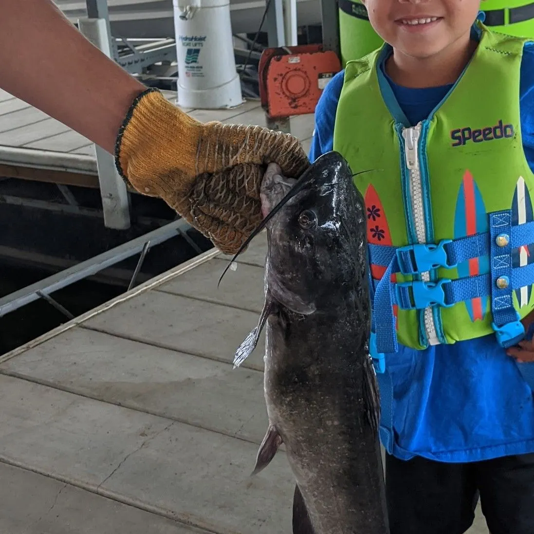 Brown bullhead caught on Fishbrain