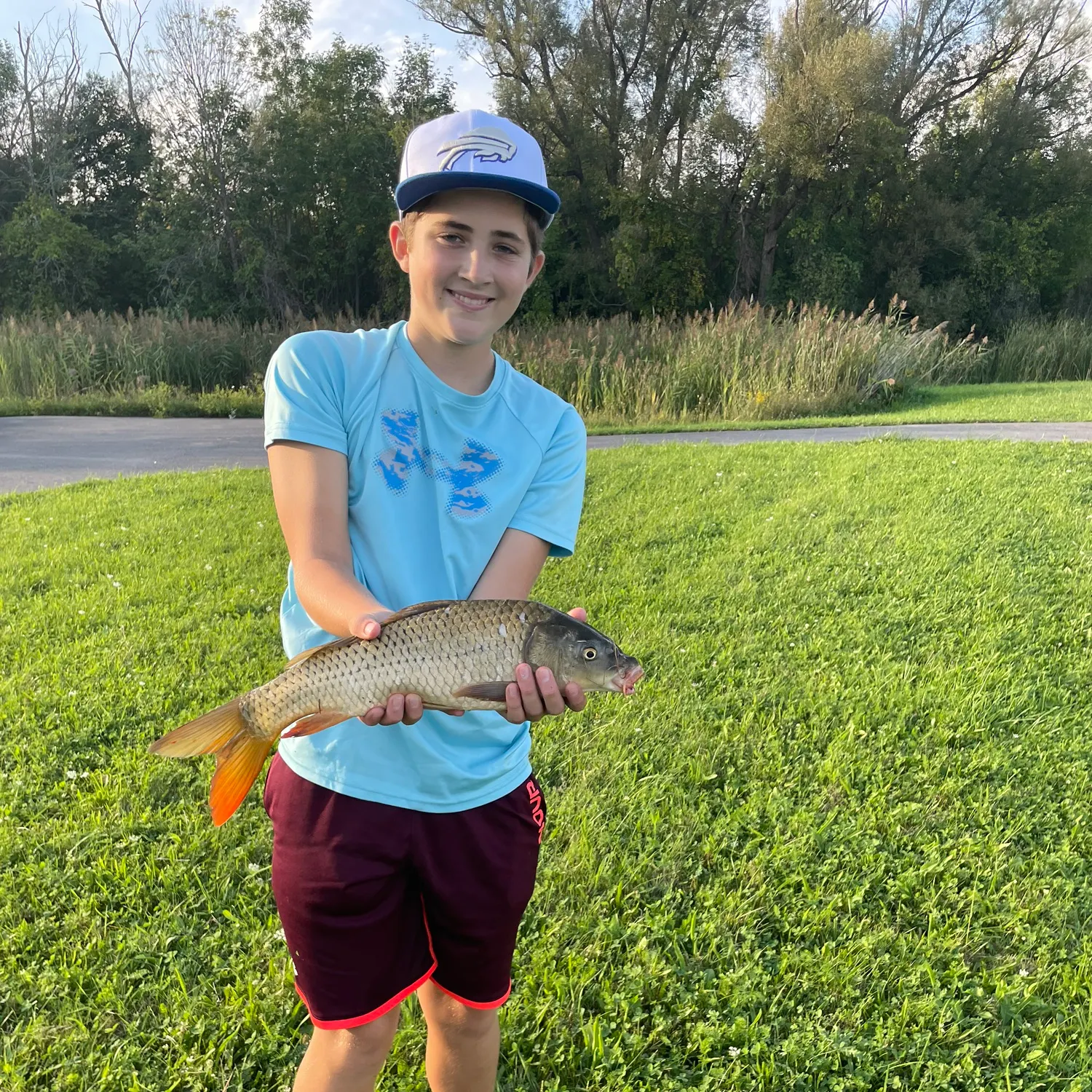 Common carp caught on Fishbrain