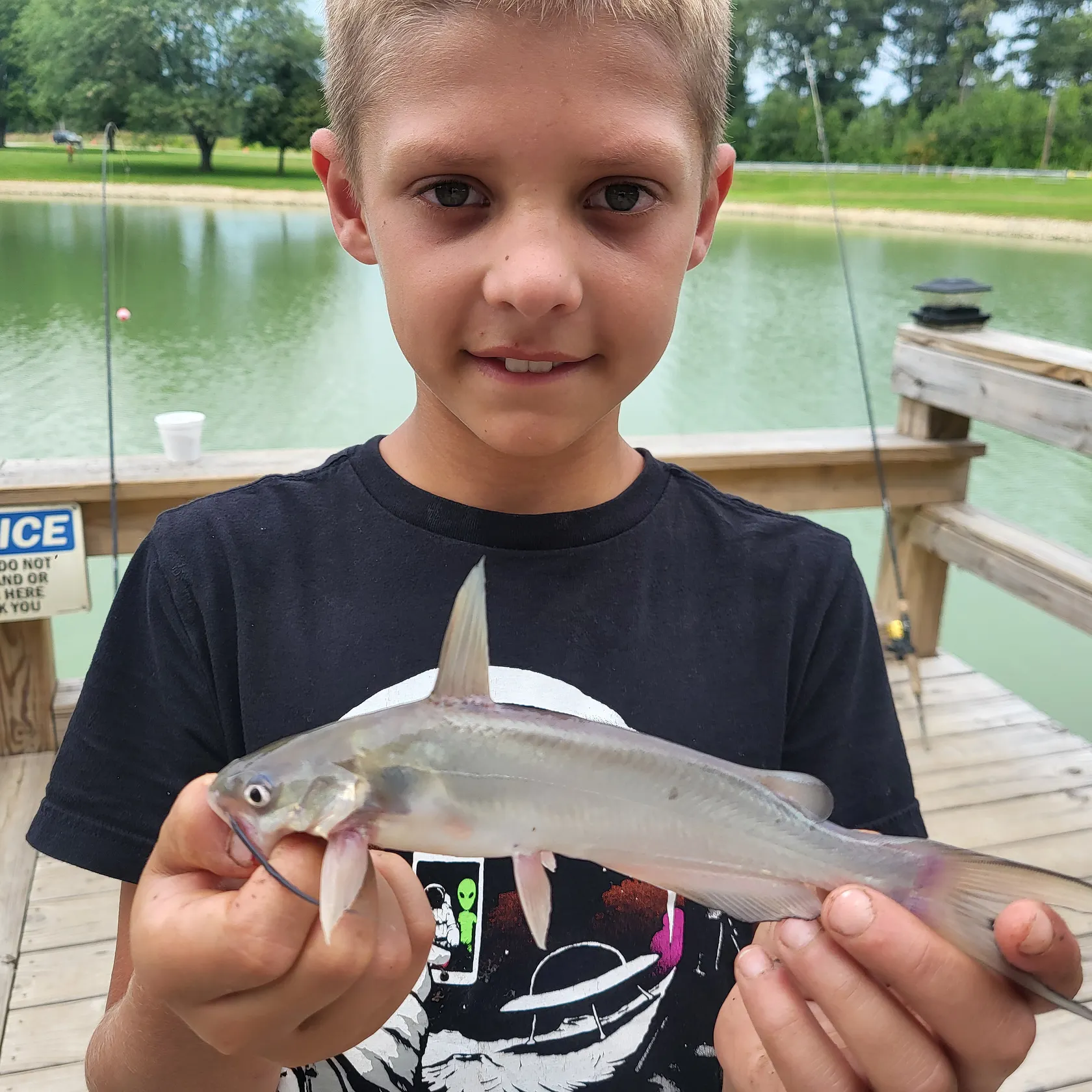 Channel catfish caught on Fishbrain