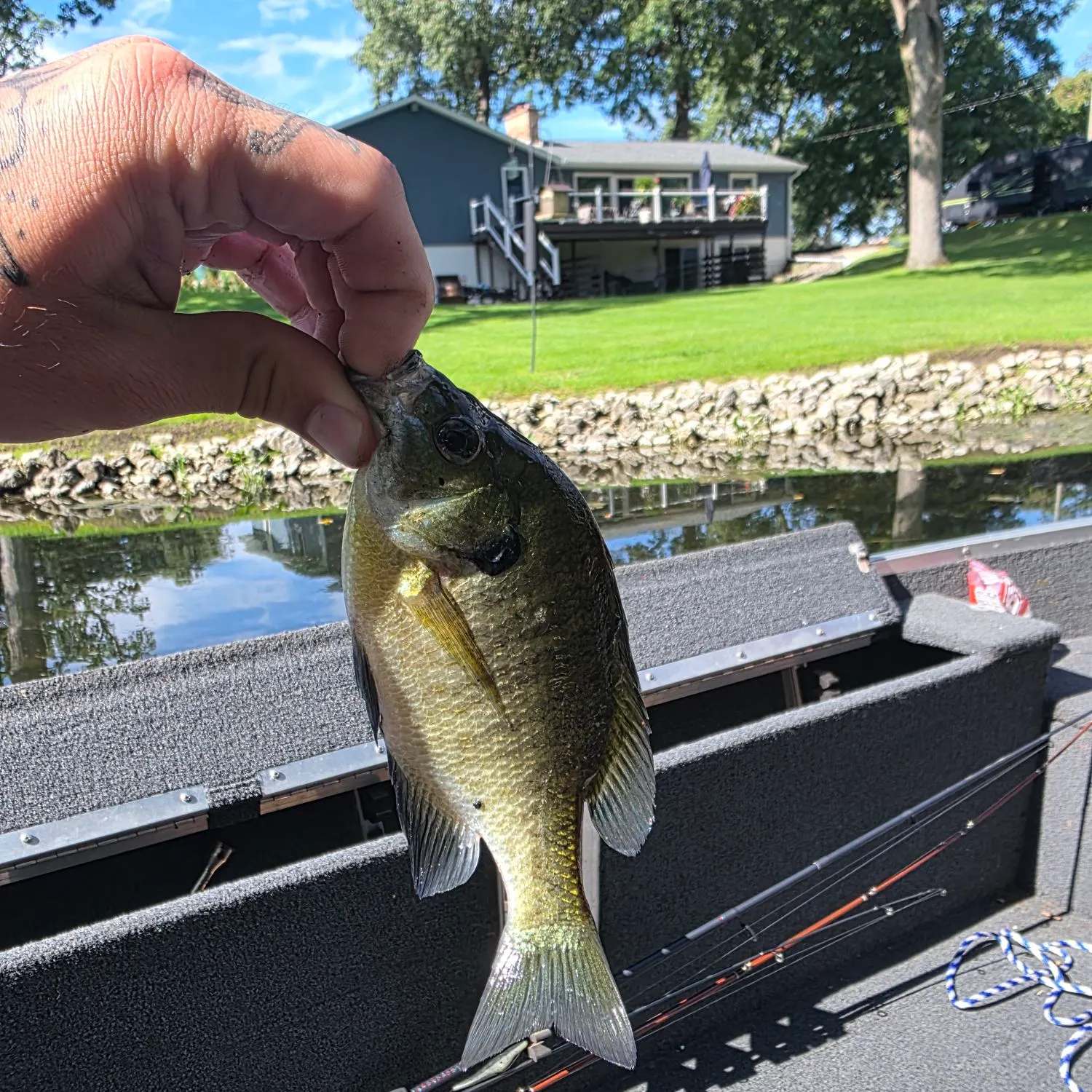 catch