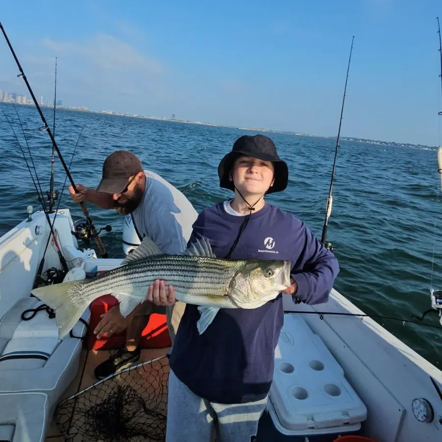 The most recent Striped bass catches on Fishbrain