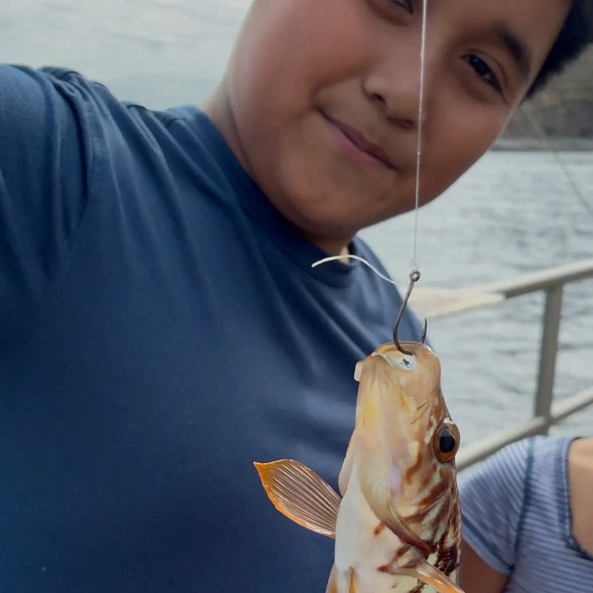 The most recent Kelp bass catches on Fishbrain
