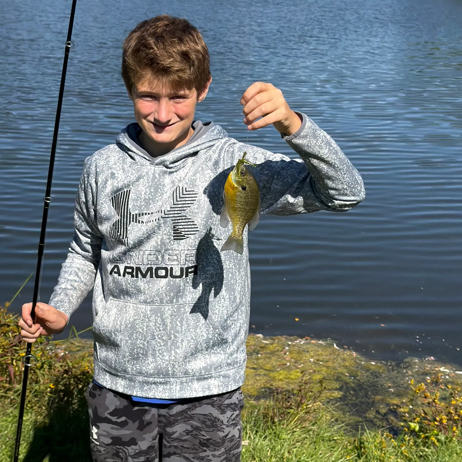 Bluegill caught on Fishbrain