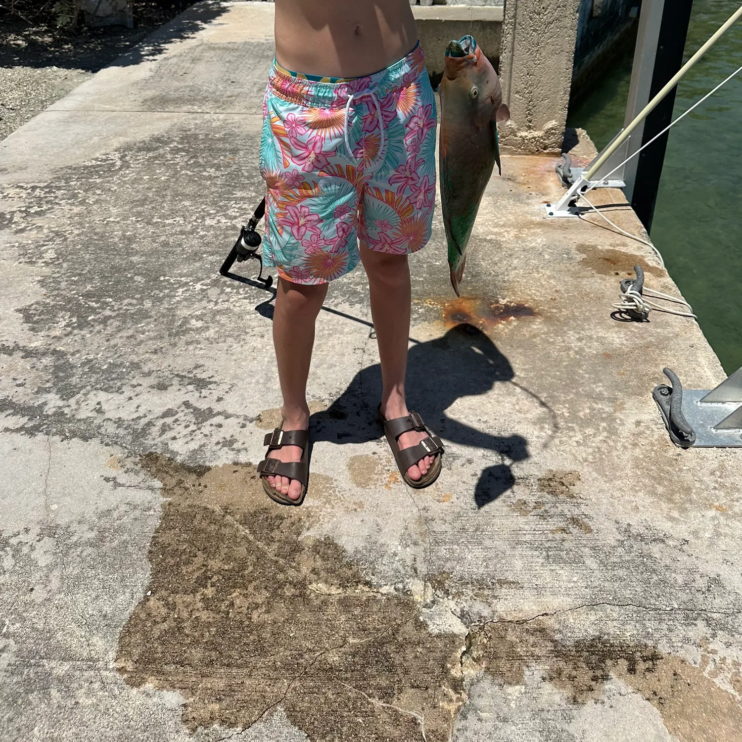 The most recent Blue-barred parrotfish catches on Fishbrain