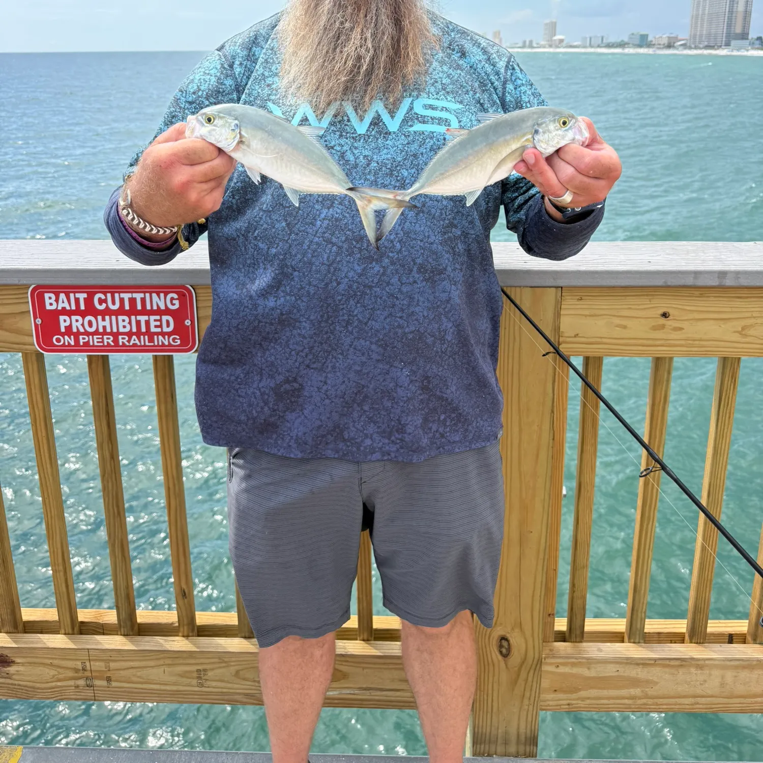 Blue runner caught on Fishbrain