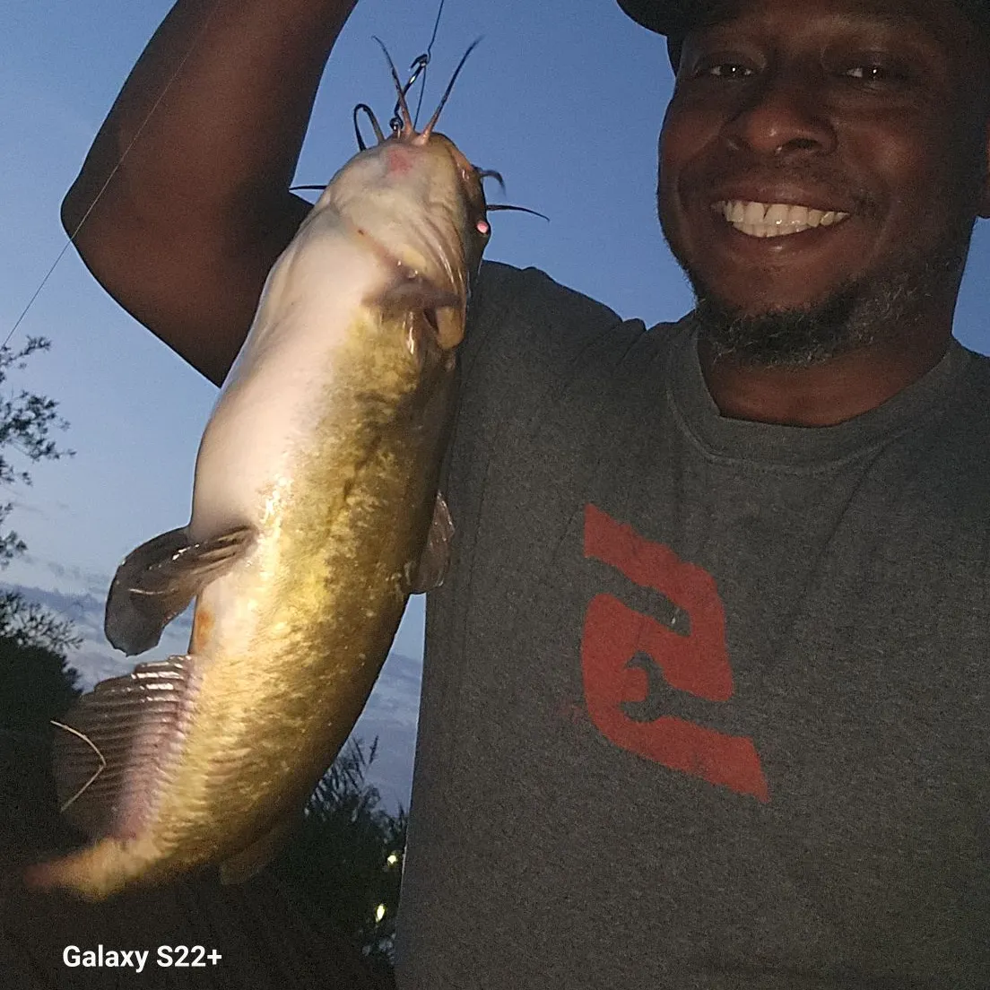 Black bullhead caught on Fishbrain