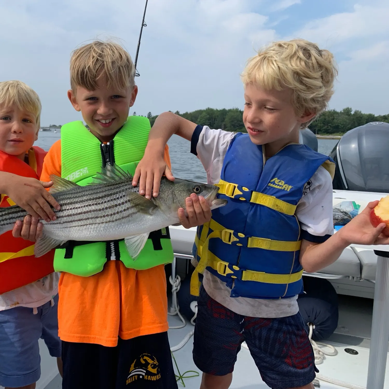 Striped bass caught on Fishbrain