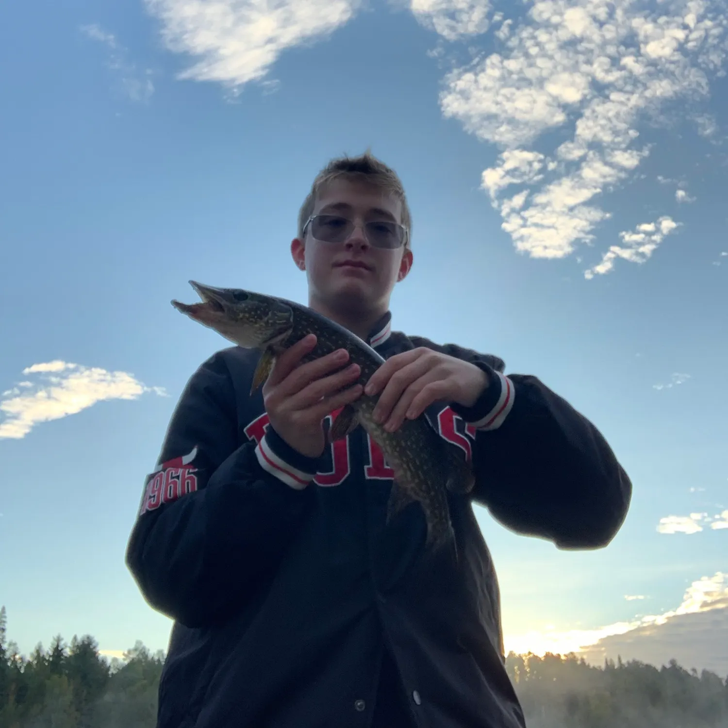 Northern pike caught on Fishbrain