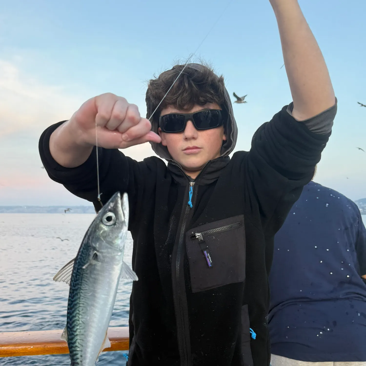 The most recent Pacific chub mackerel catches on Fishbrain