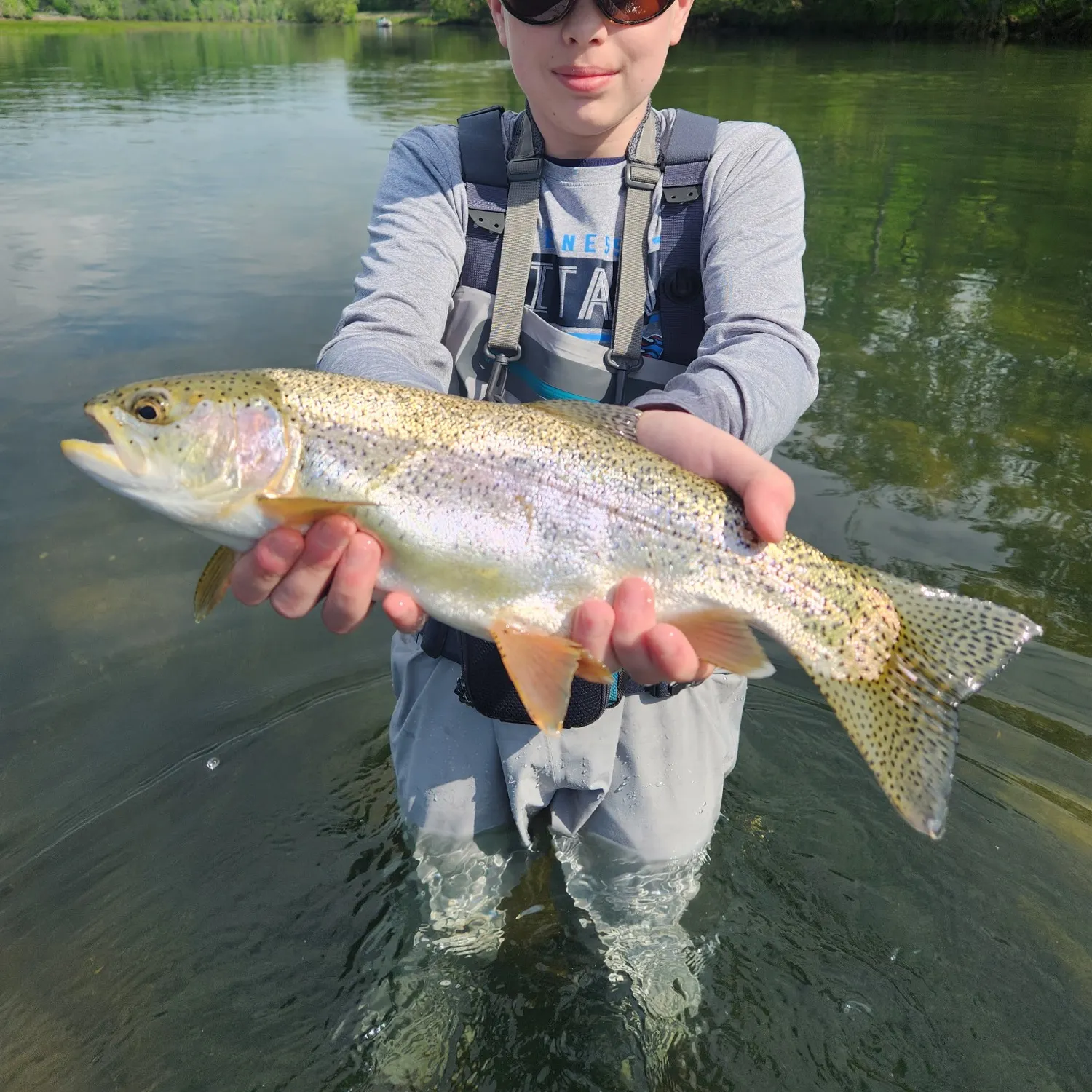 Rainbow trout caught on Fishbrain