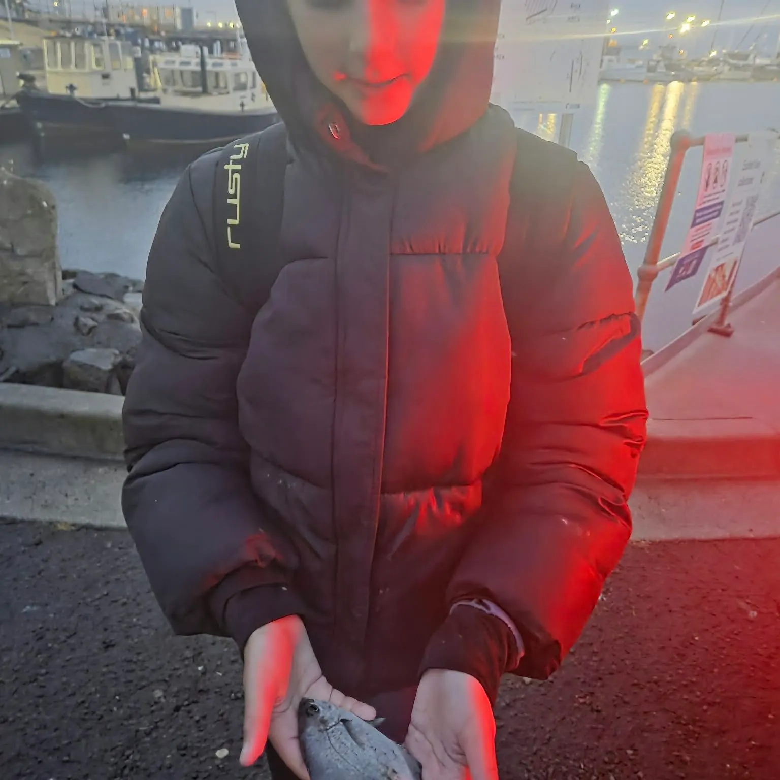 Silver sweep caught on Fishbrain