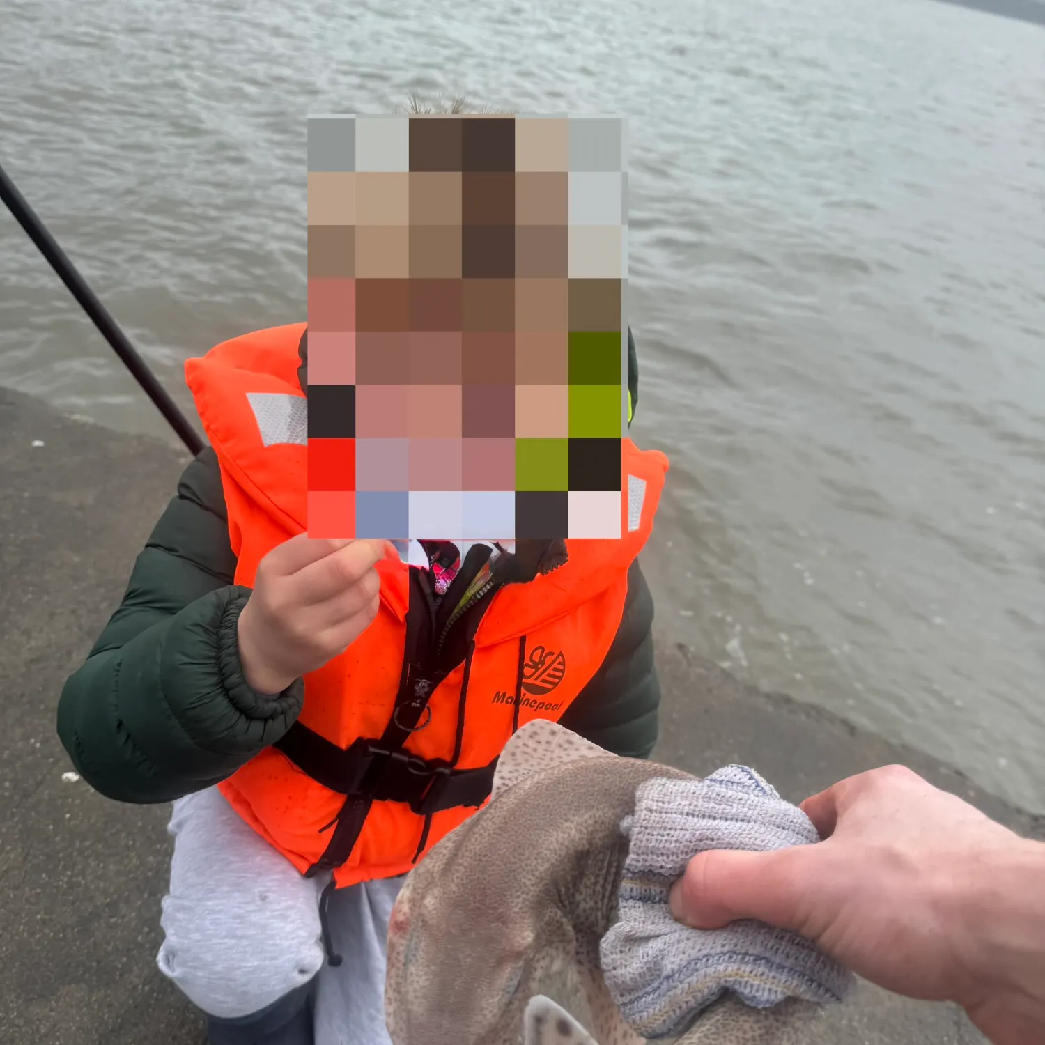 The most recent Lesser spotted dogfish catches on Fishbrain