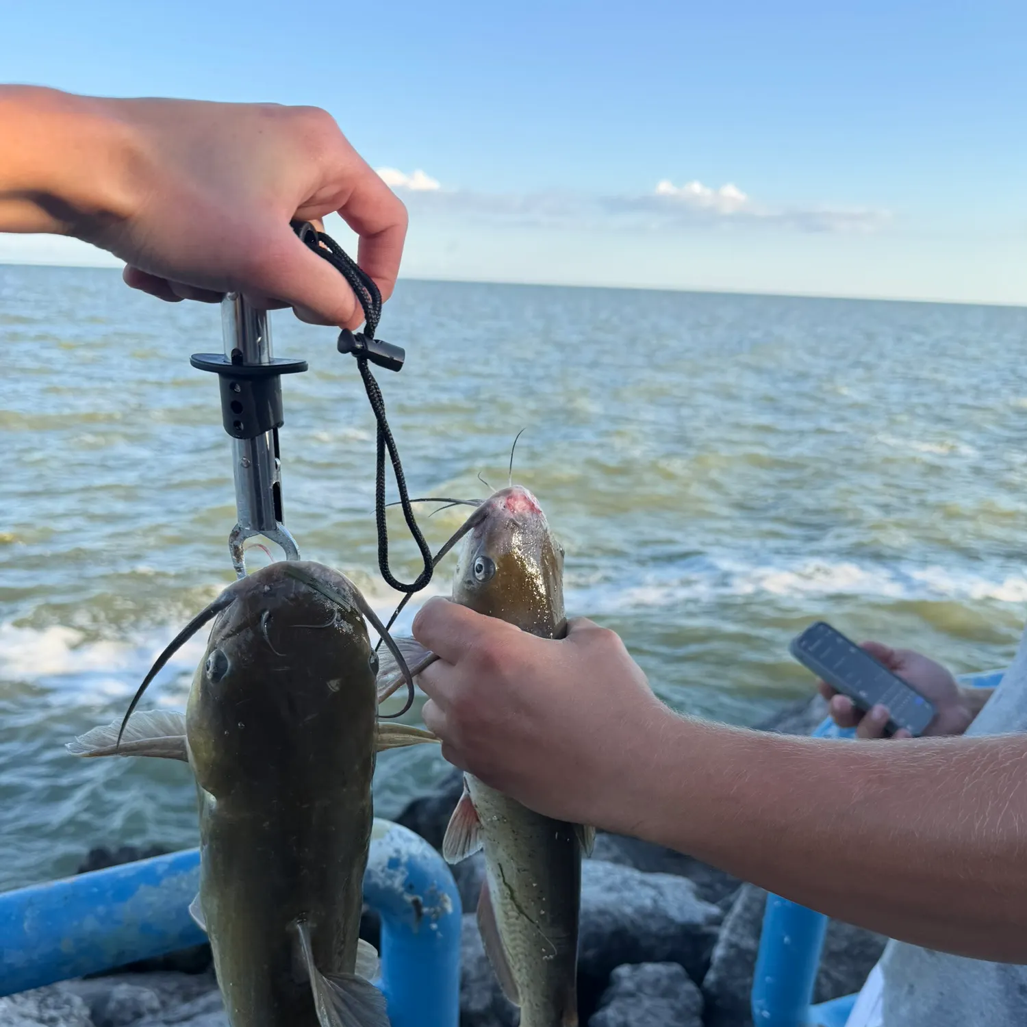catch