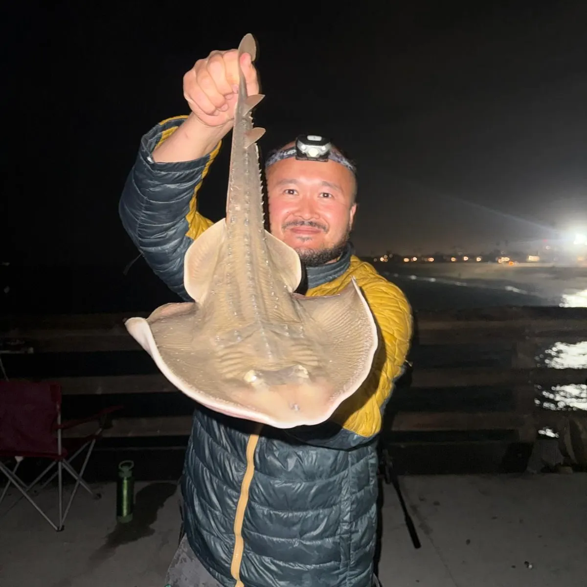 The most recent Thornback guitarfish catches on Fishbrain