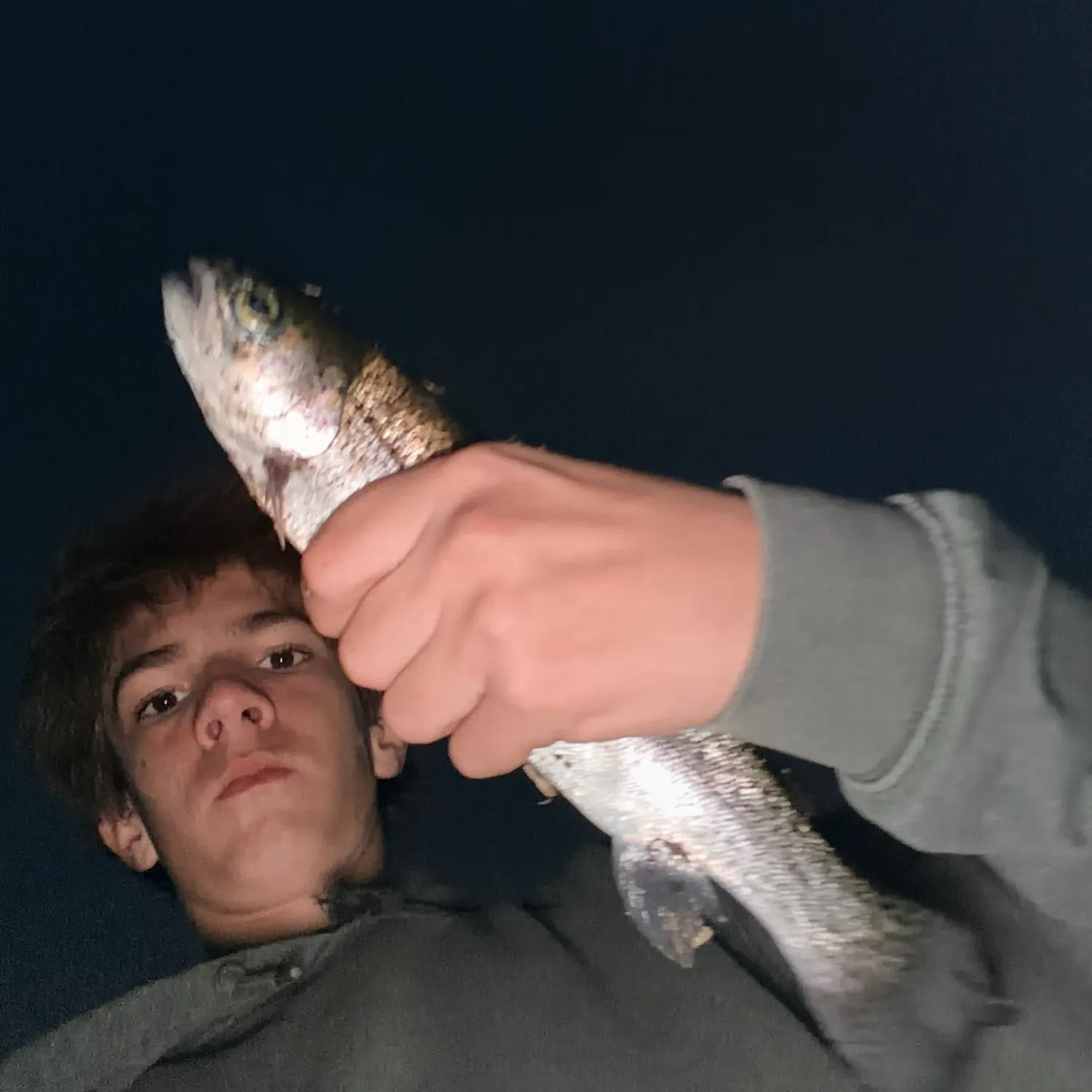 Fish caught on Fishbrain