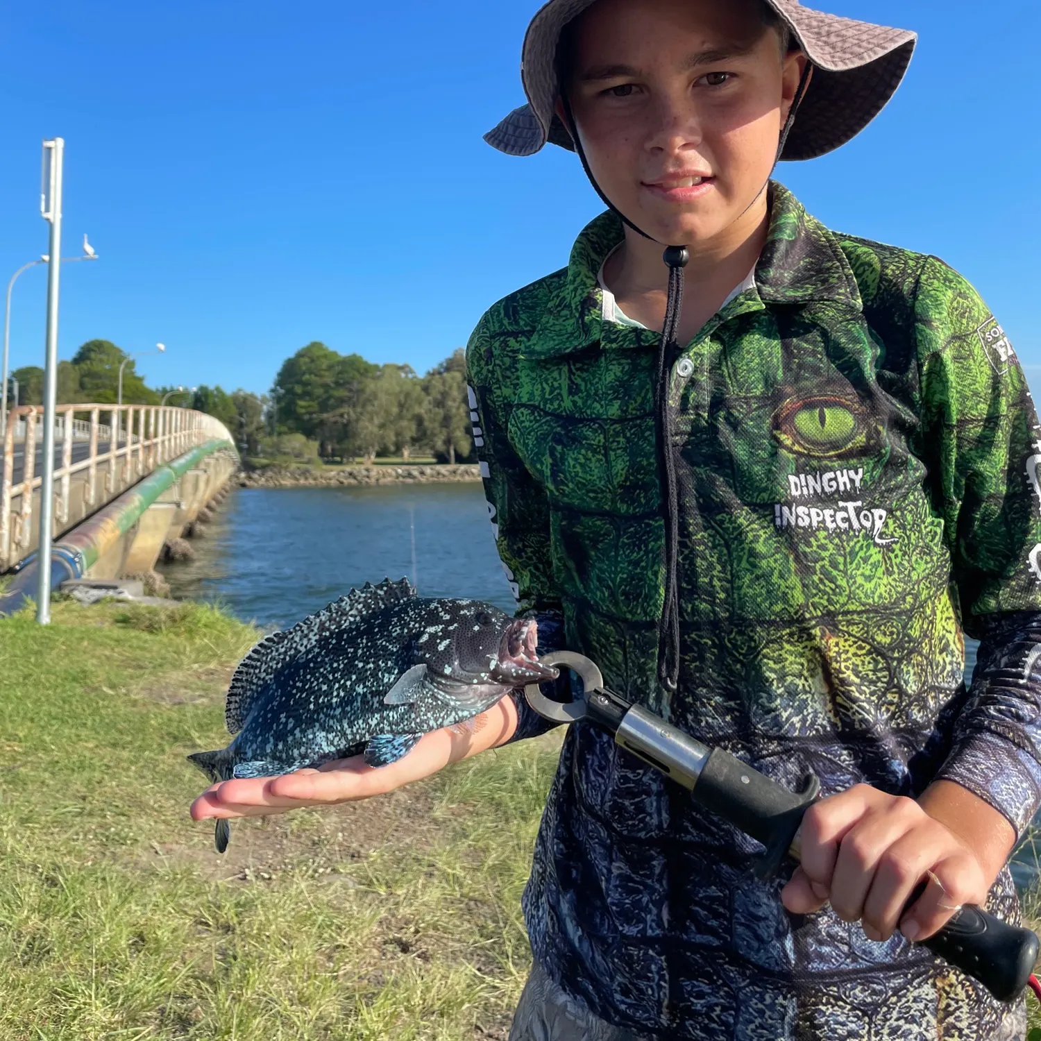 The most recent Eastern wirrah catches on Fishbrain