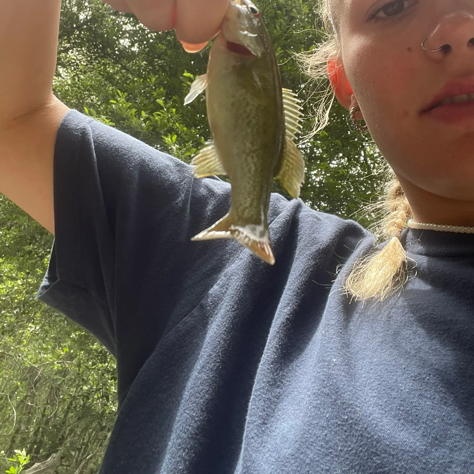 most liked catch image