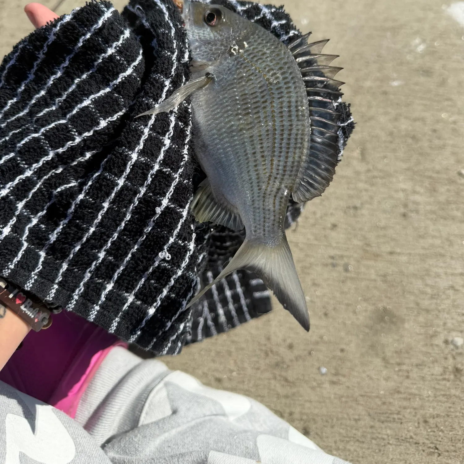 catch