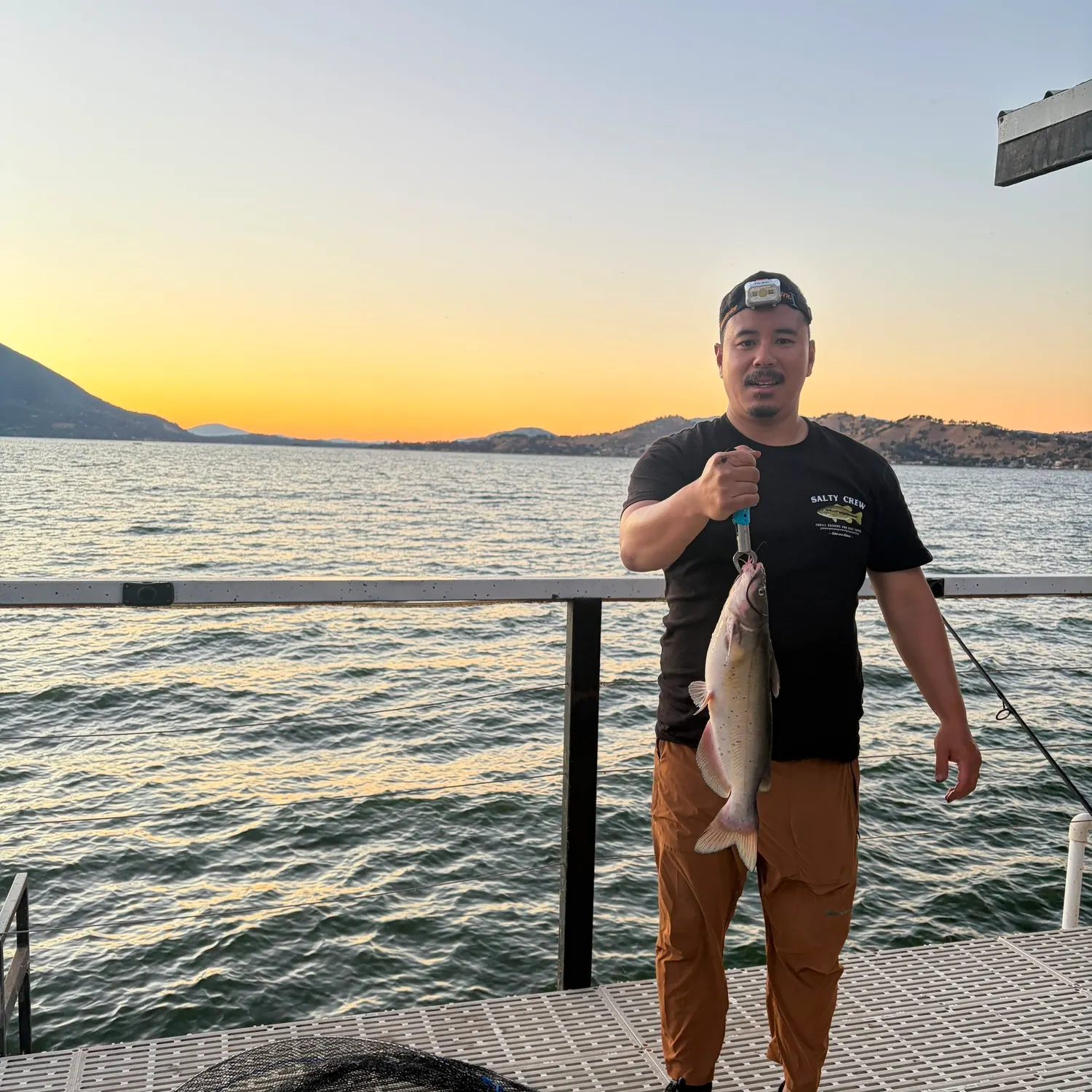 Channel catfish caught on Fishbrain