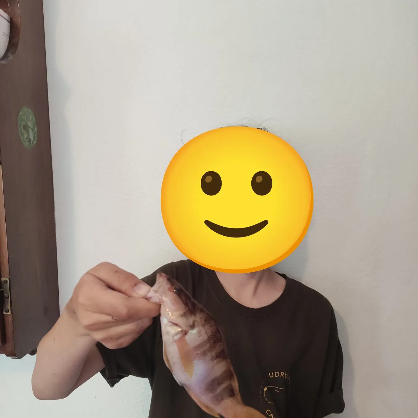 The most recent Painted comber catches on Fishbrain