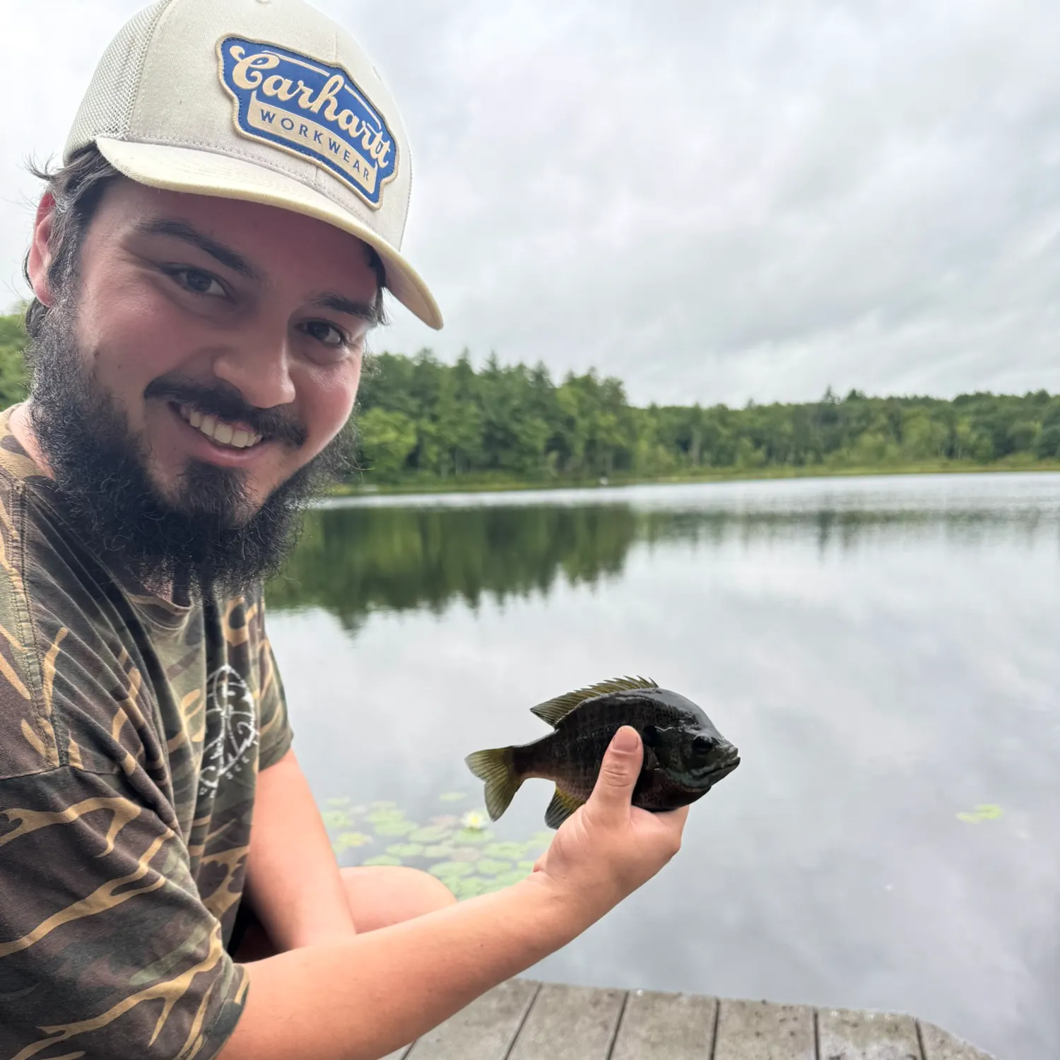Bluegill caught on Fishbrain