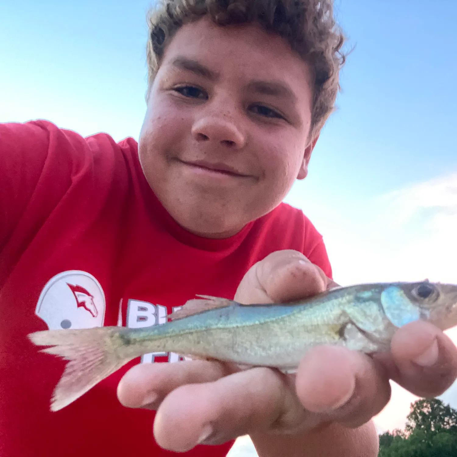 Walleye caught on Fishbrain