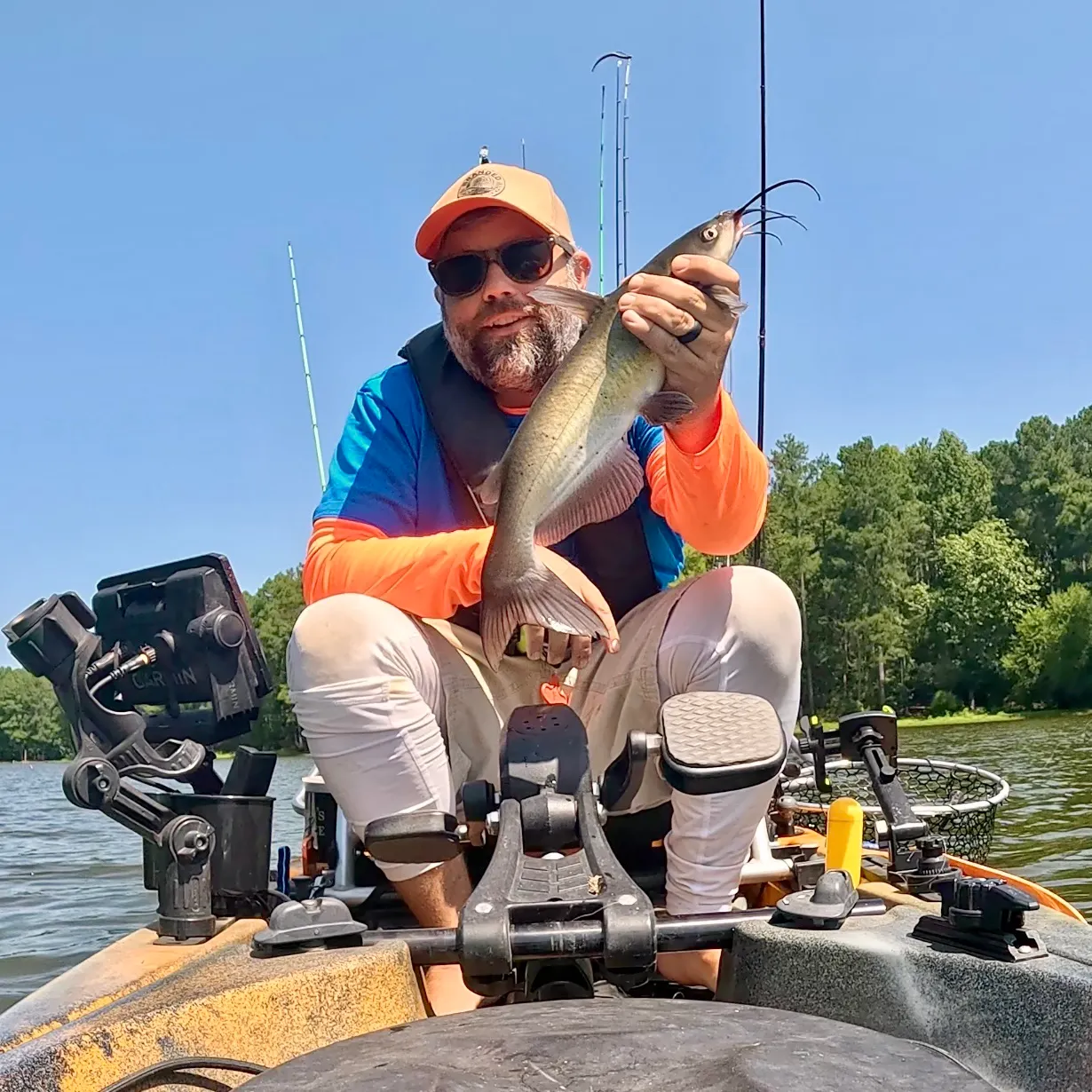 Channel catfish caught on Fishbrain