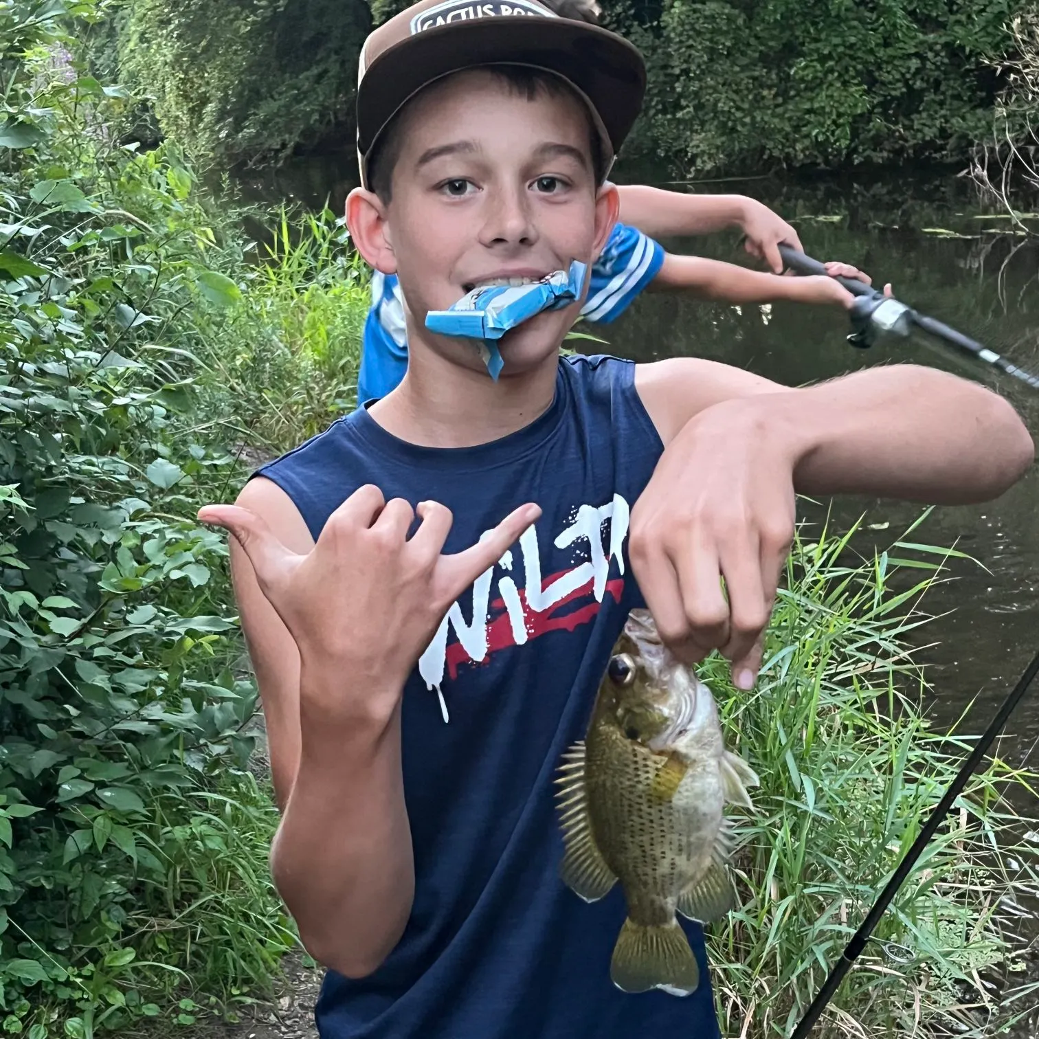 Rock bass caught on Fishbrain